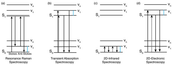 Molecules 28 03553 g002