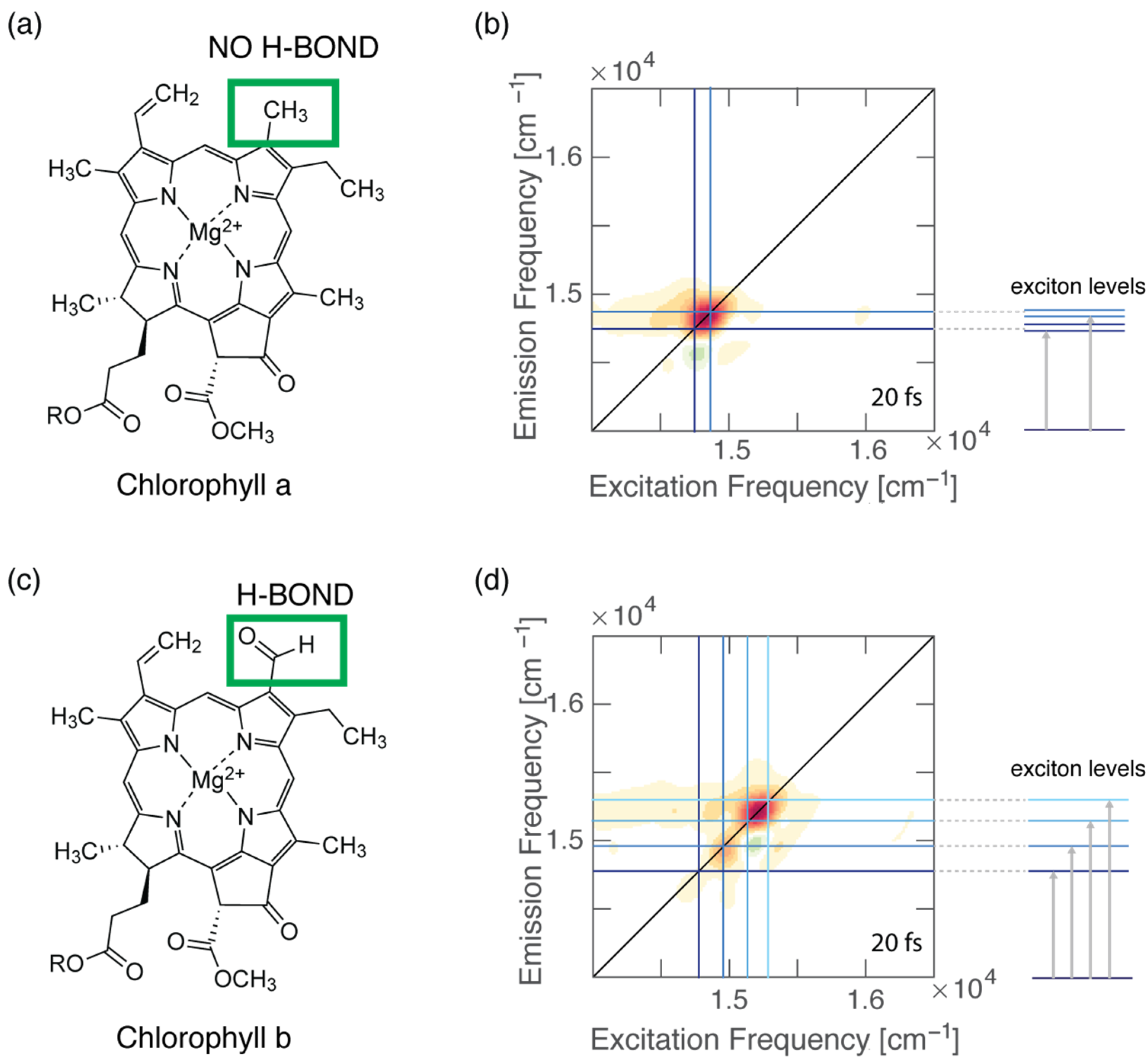 Molecules 28 03553 g003