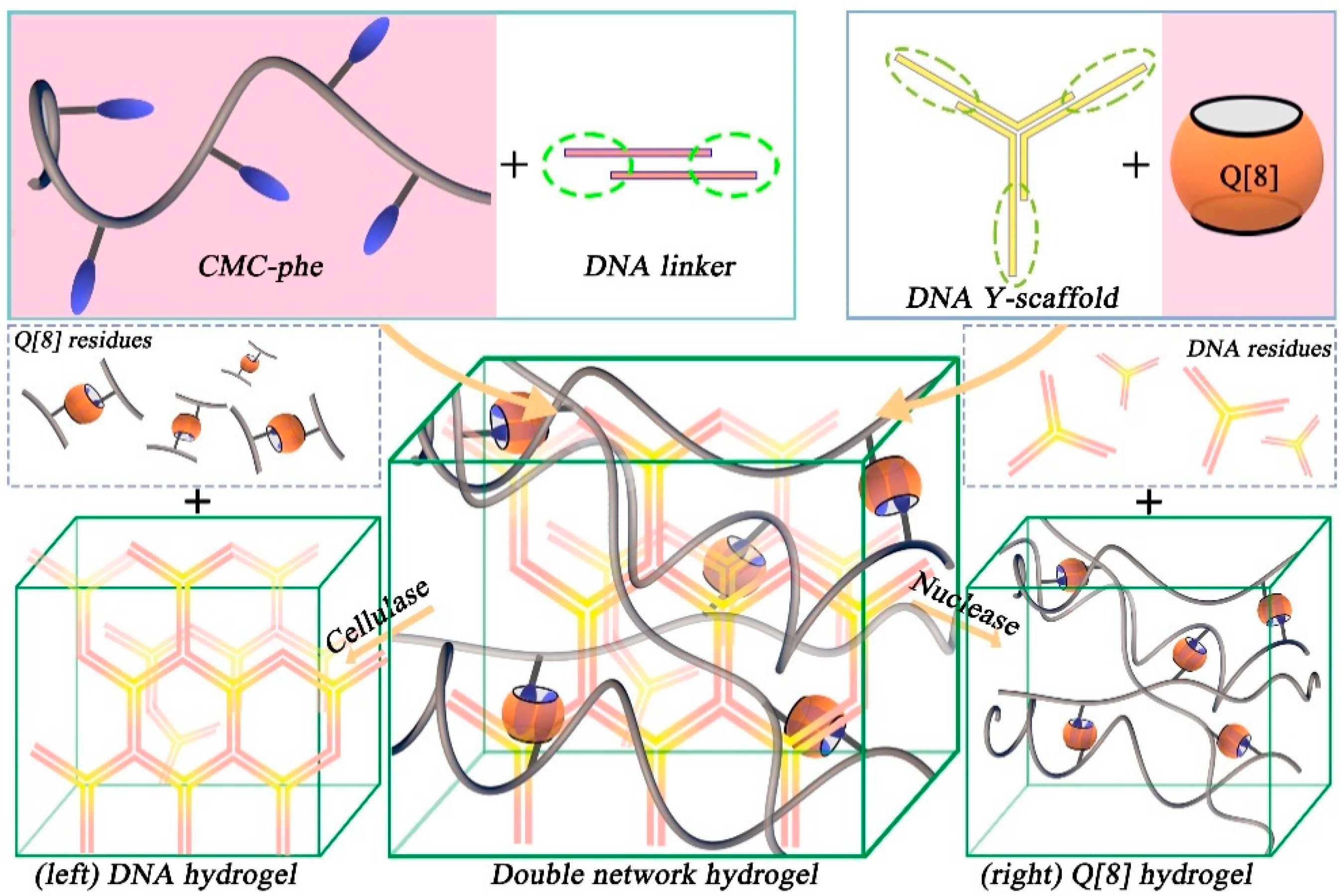 Molecules 28 03566 g002