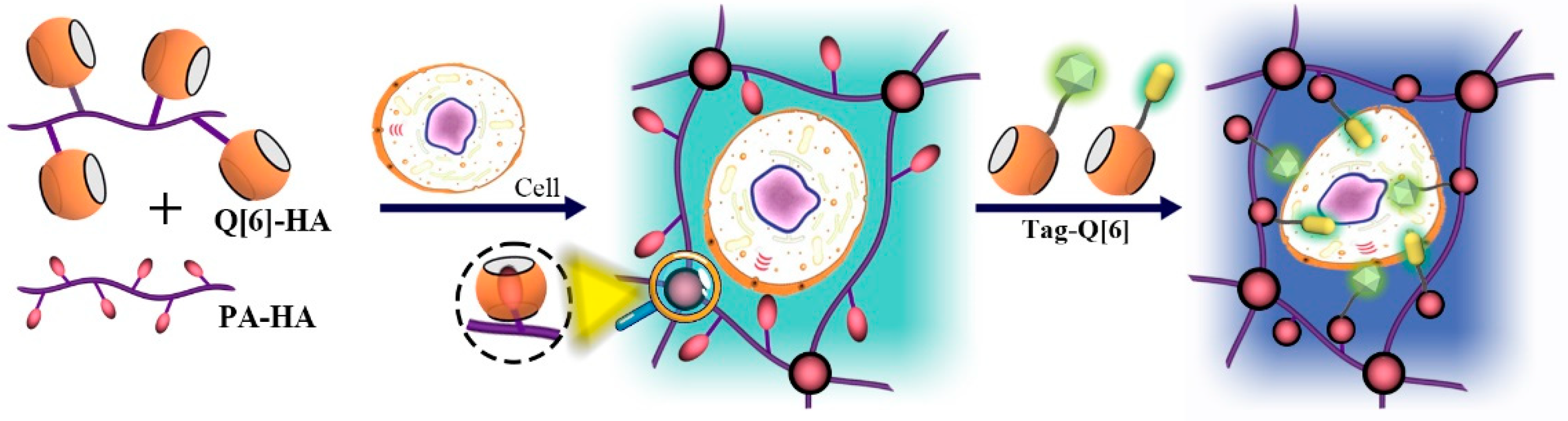 Molecules 28 03566 g004
