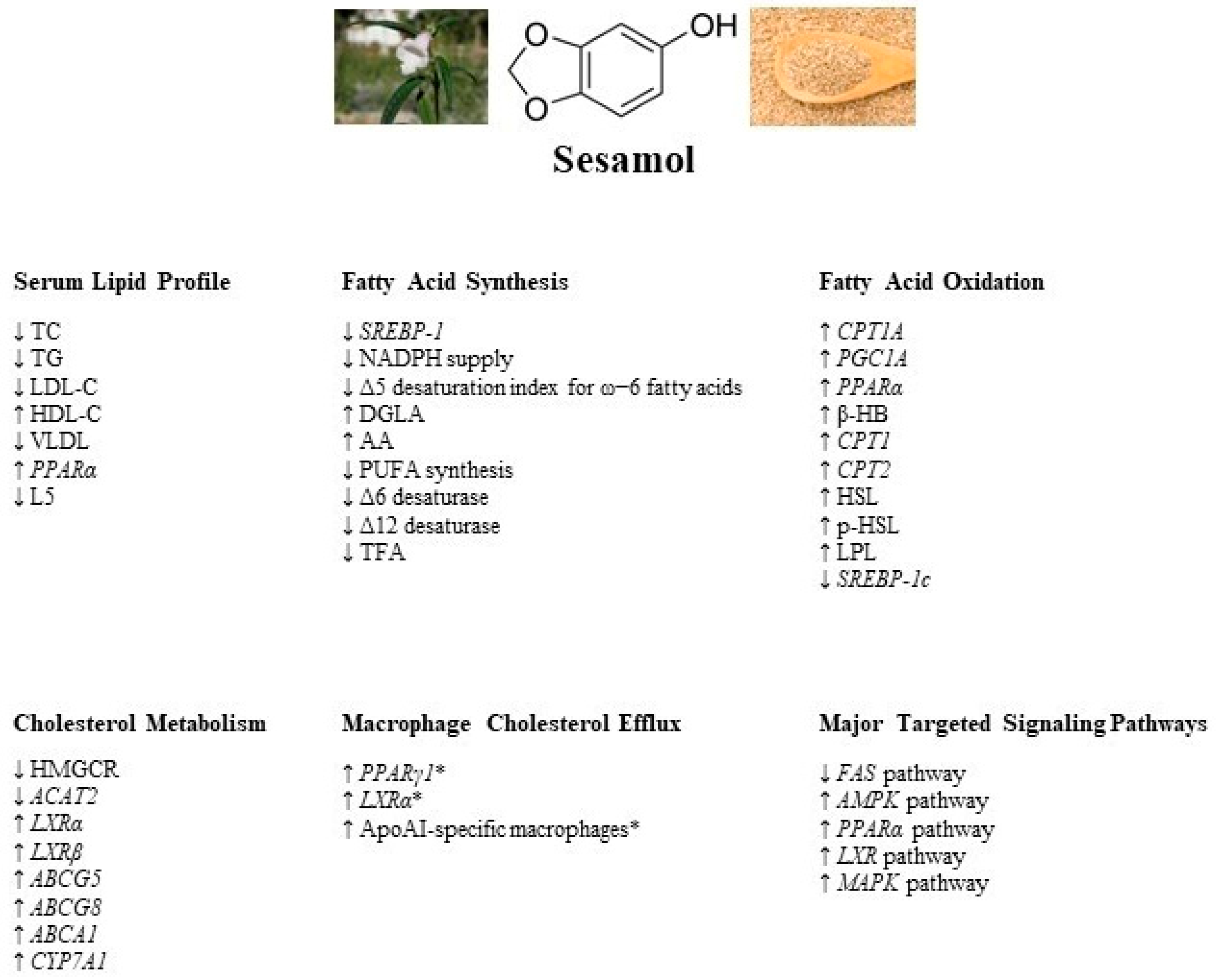 Molecules 28 03567 g001 Molecules 28 03567 g001