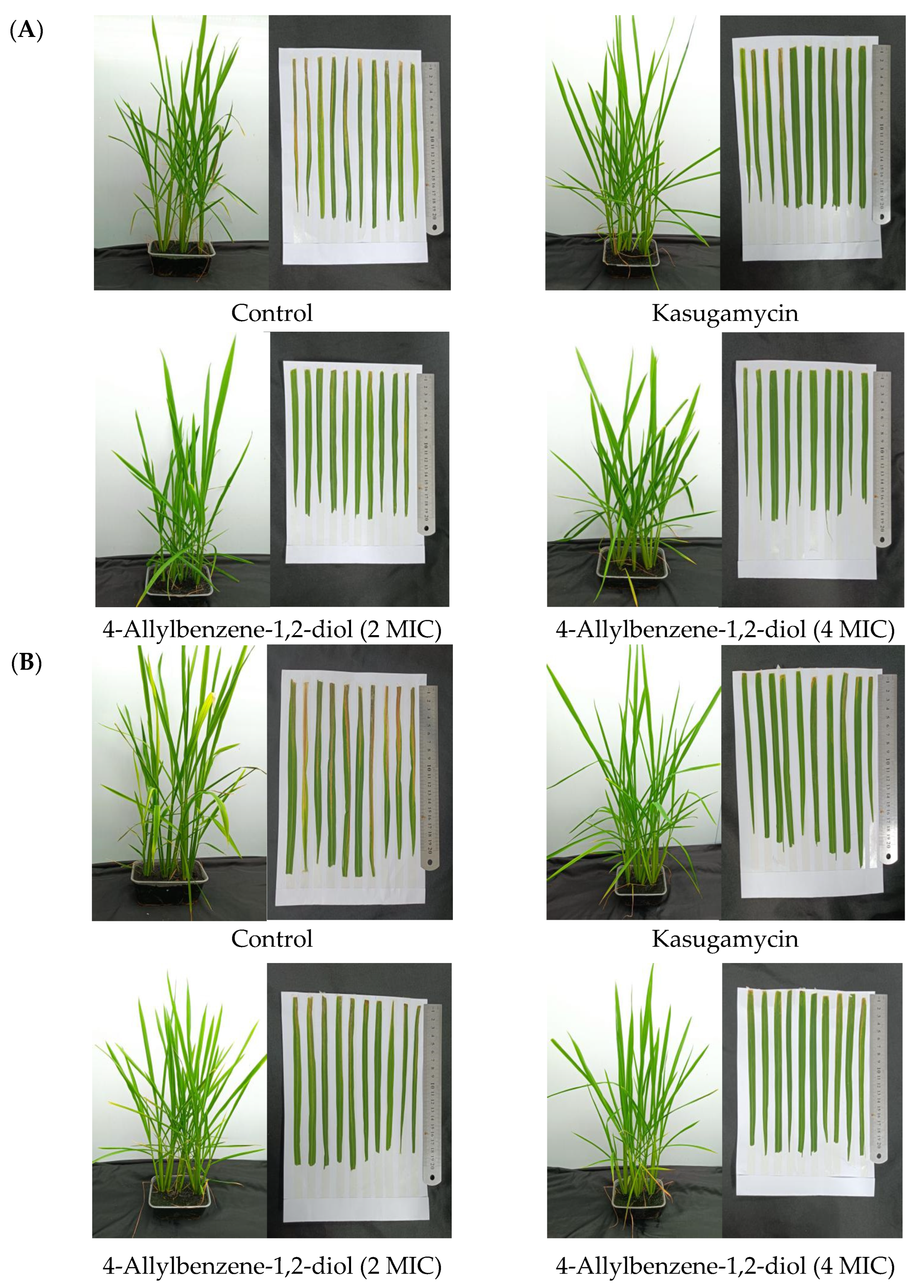Molecules 28 03572 g004 Molecules 28 03572 g004