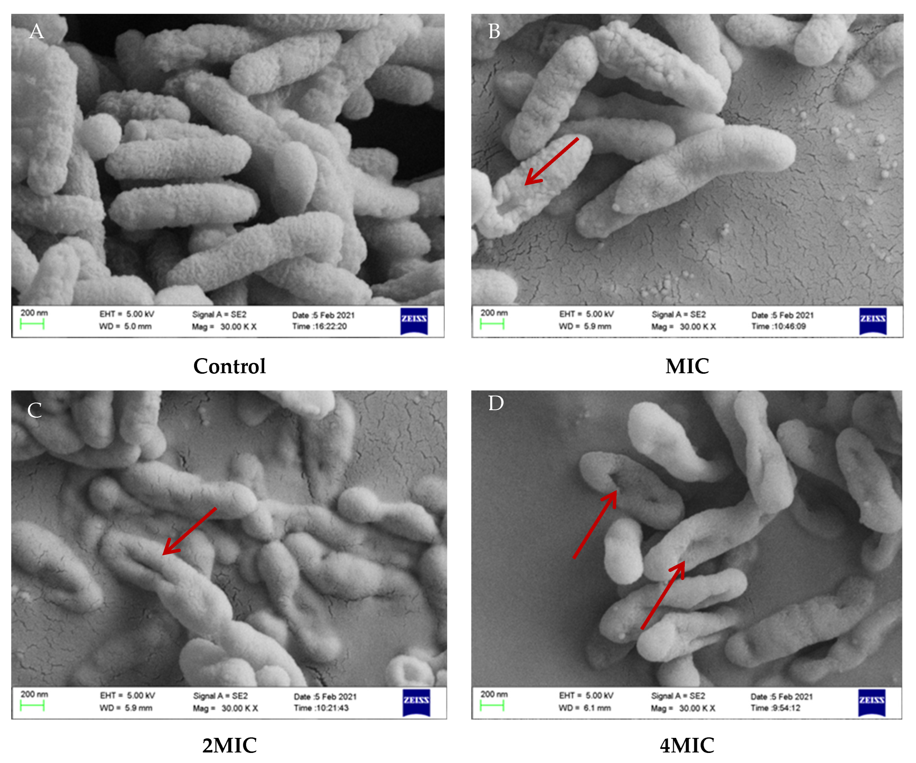 Molecules 28 03572 g005 Molecules 28 03572 g005