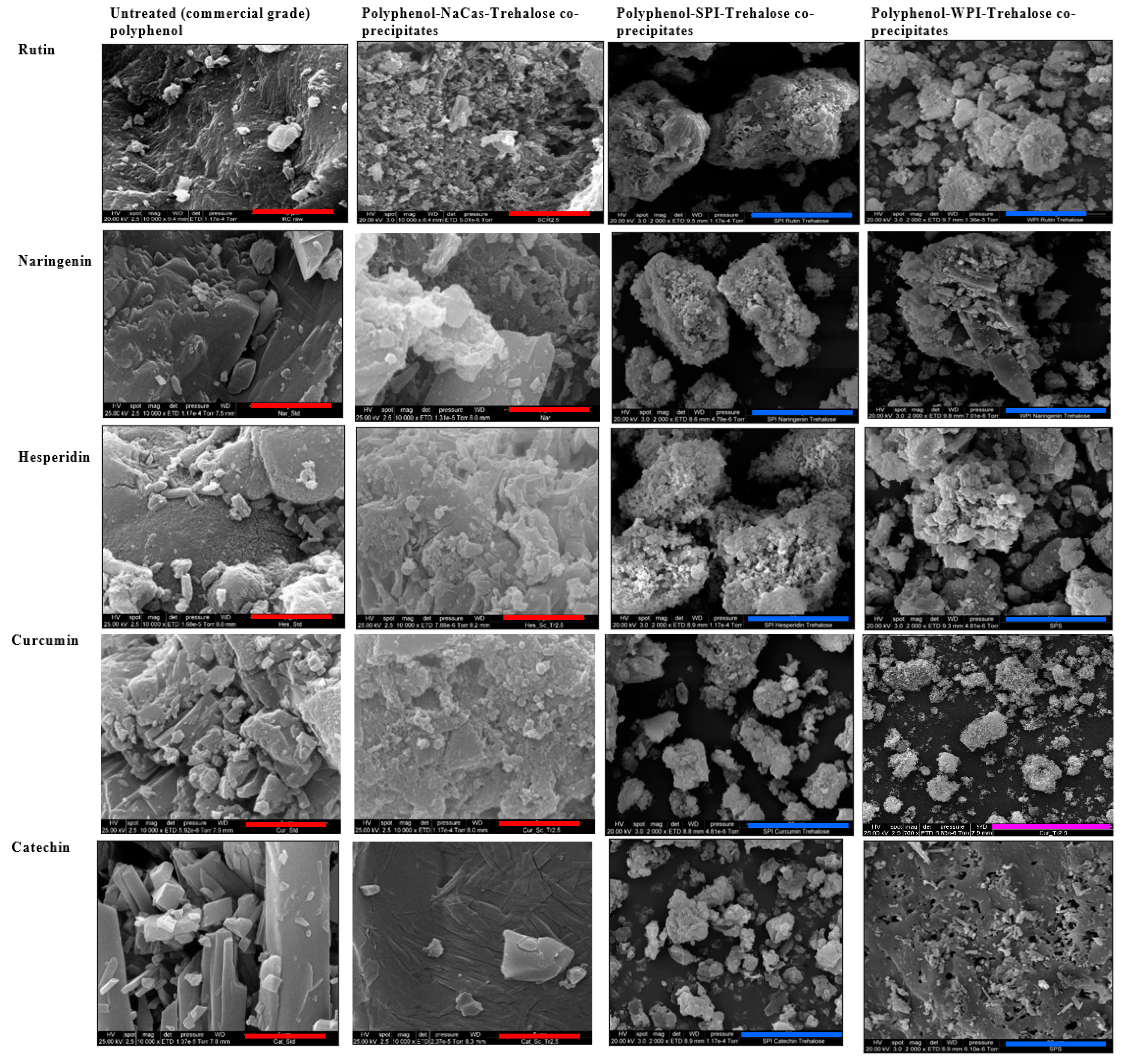 Molecules 28 03573 g002