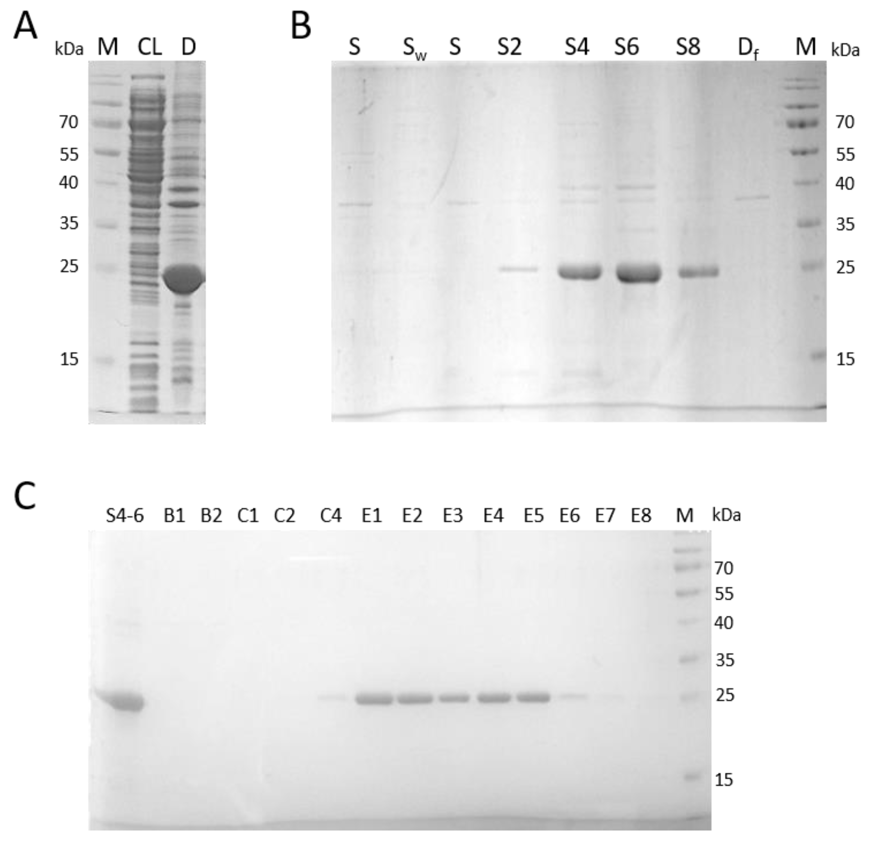 Molecules 28 03581 g001