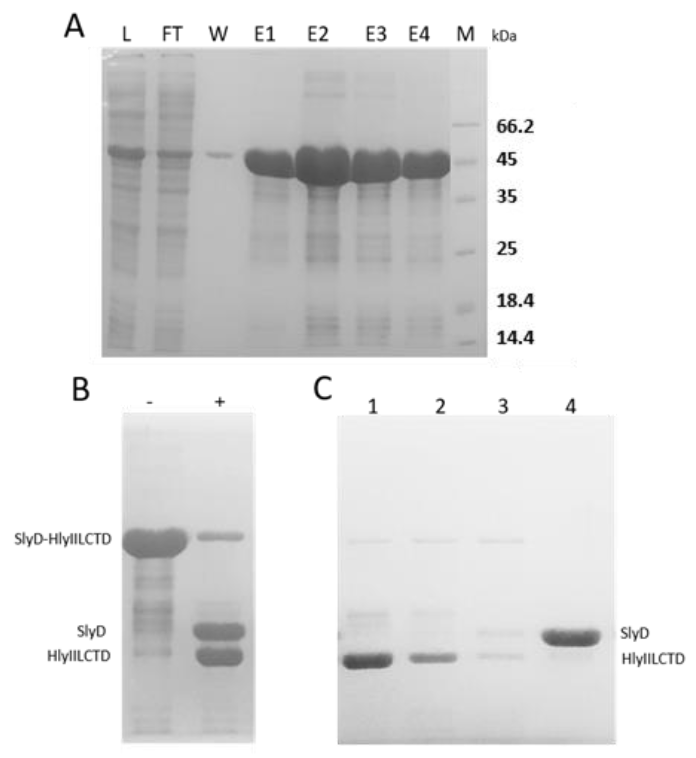 Molecules 28 03581 g003