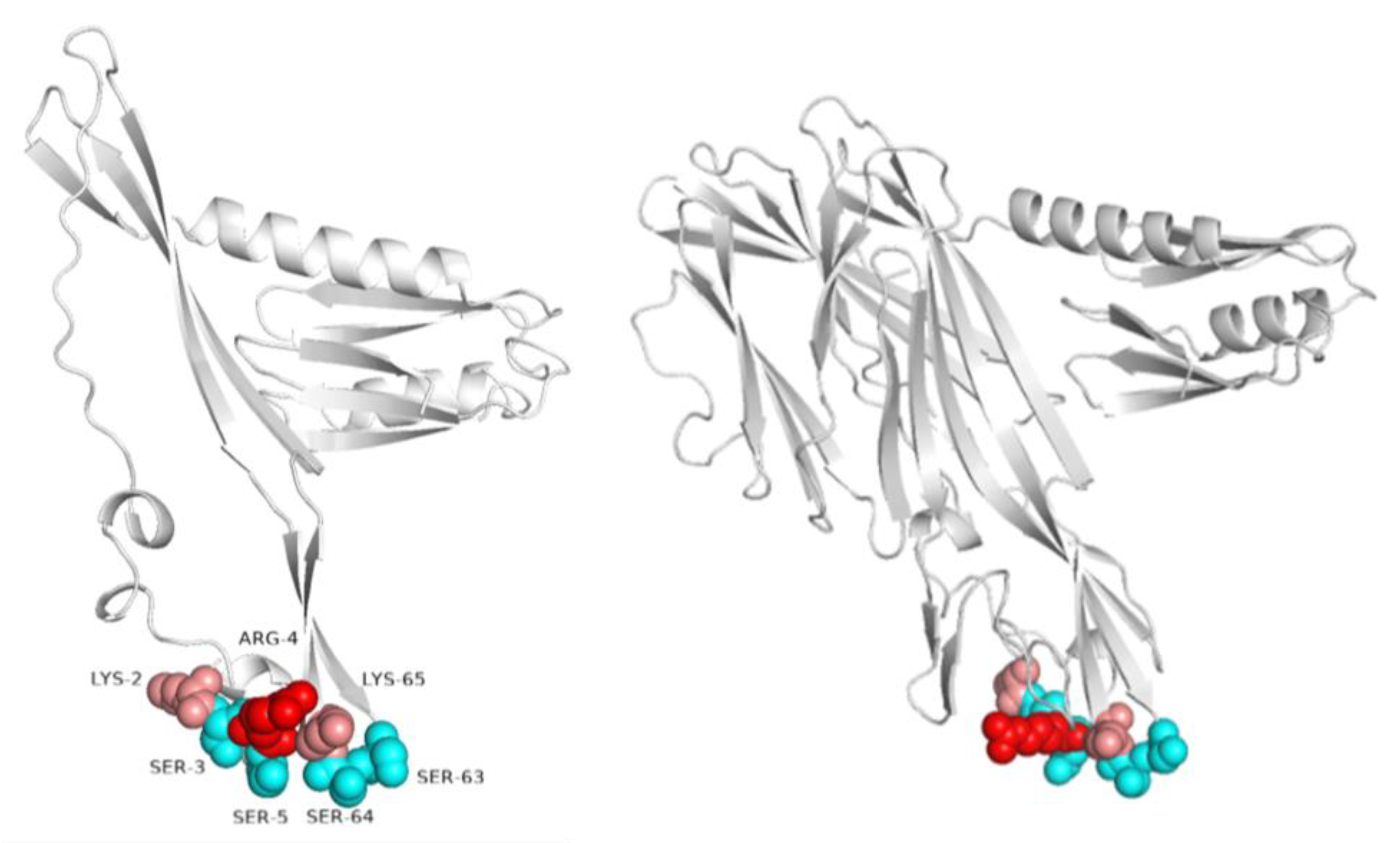 Molecules 28 03581 g005