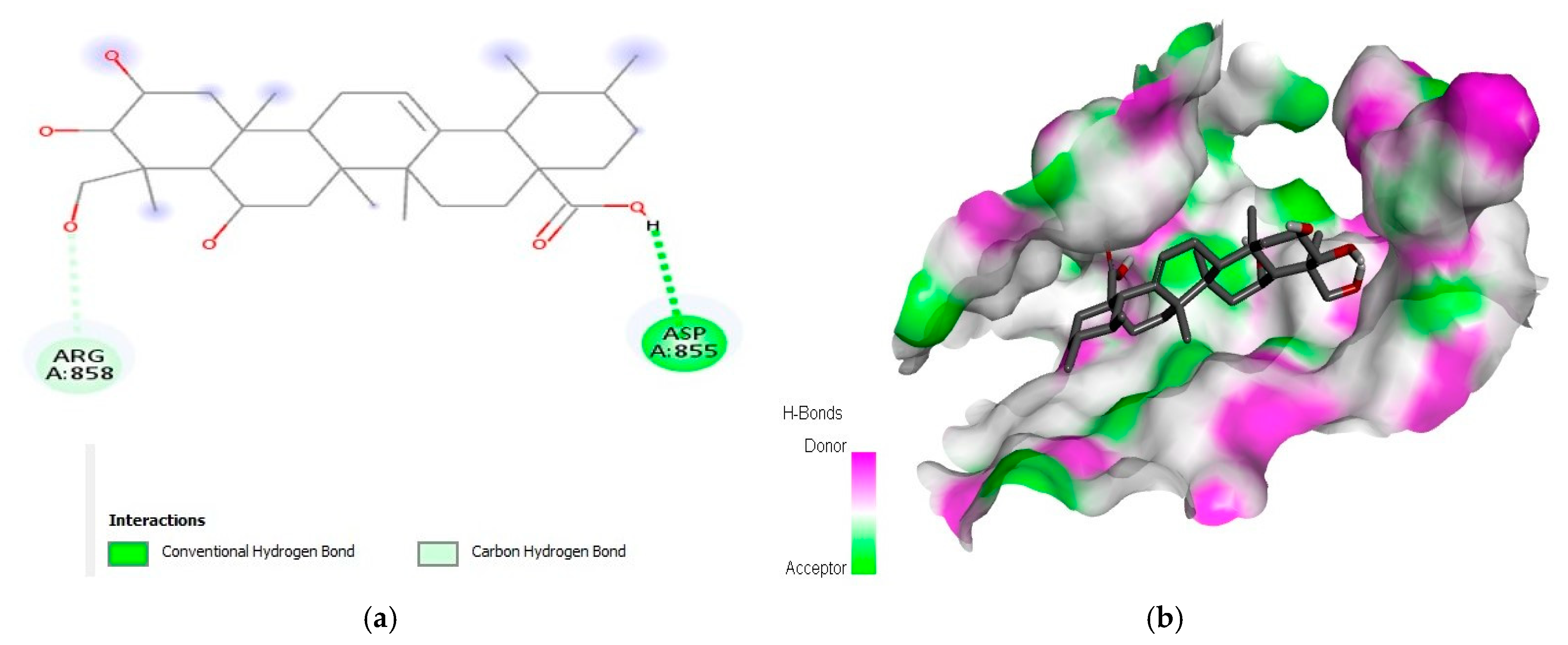 Molecules 28 03583 g002