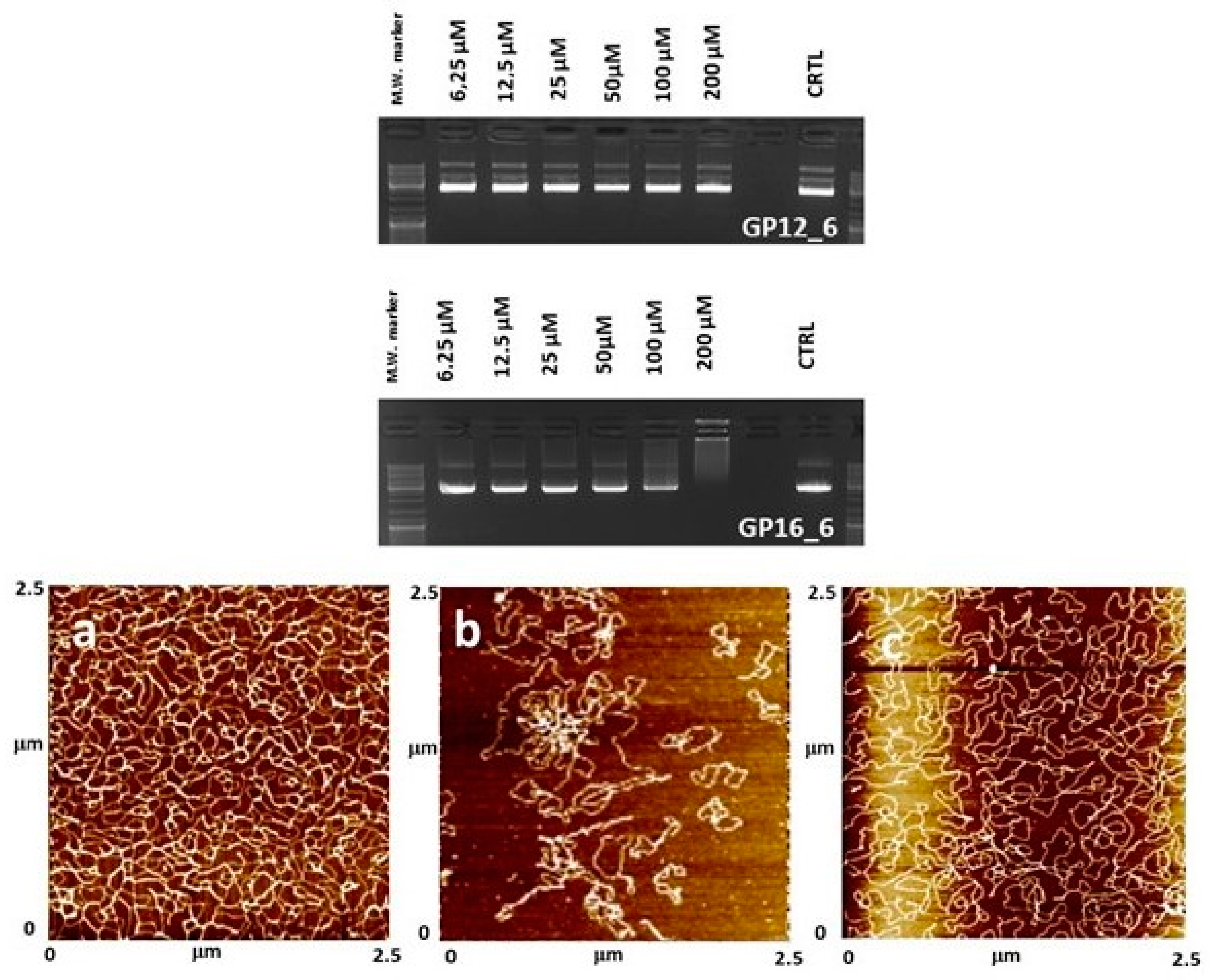 Molecules 28 03585 g003