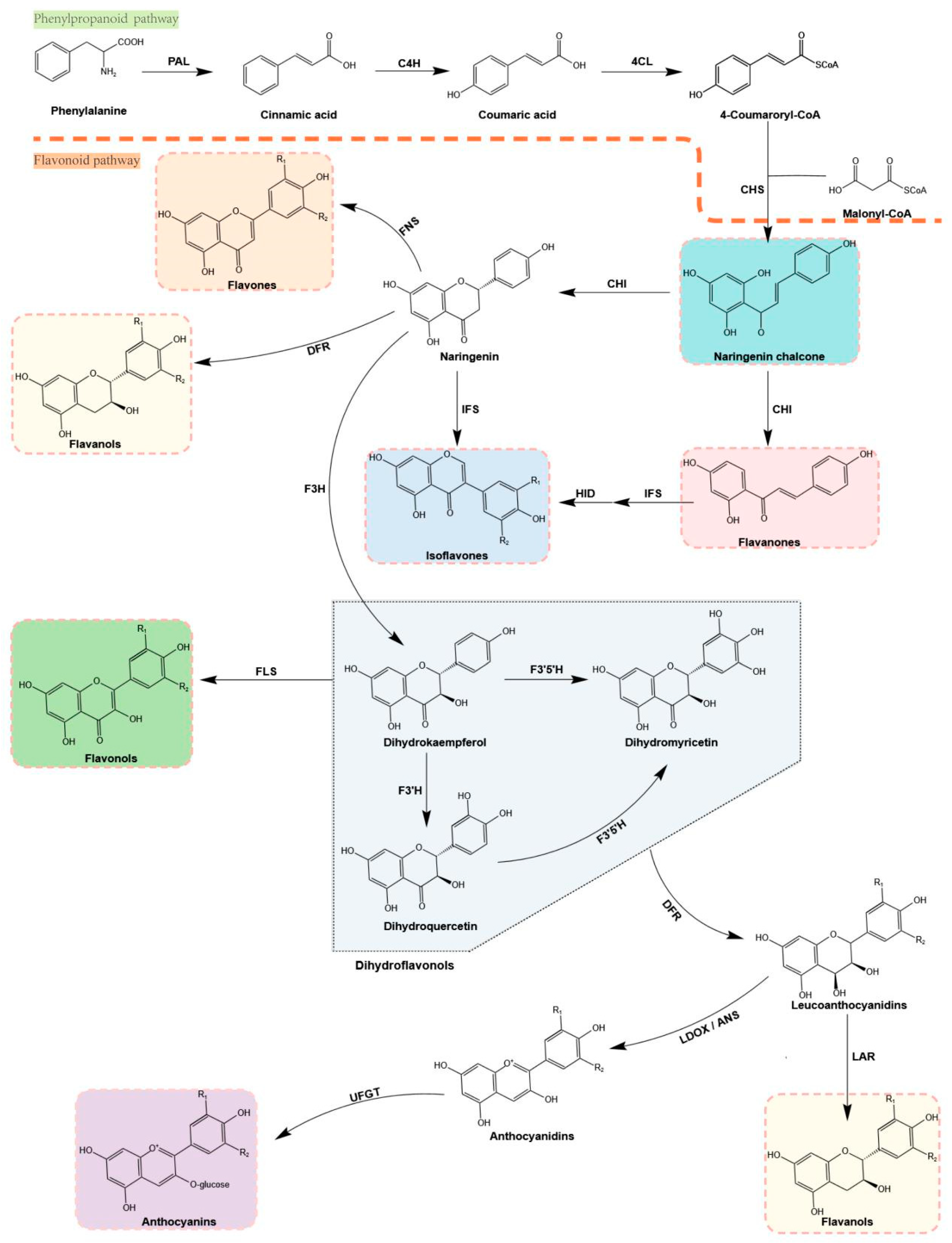Molecules 28 03599 g002 Molecules 28 03599 g002