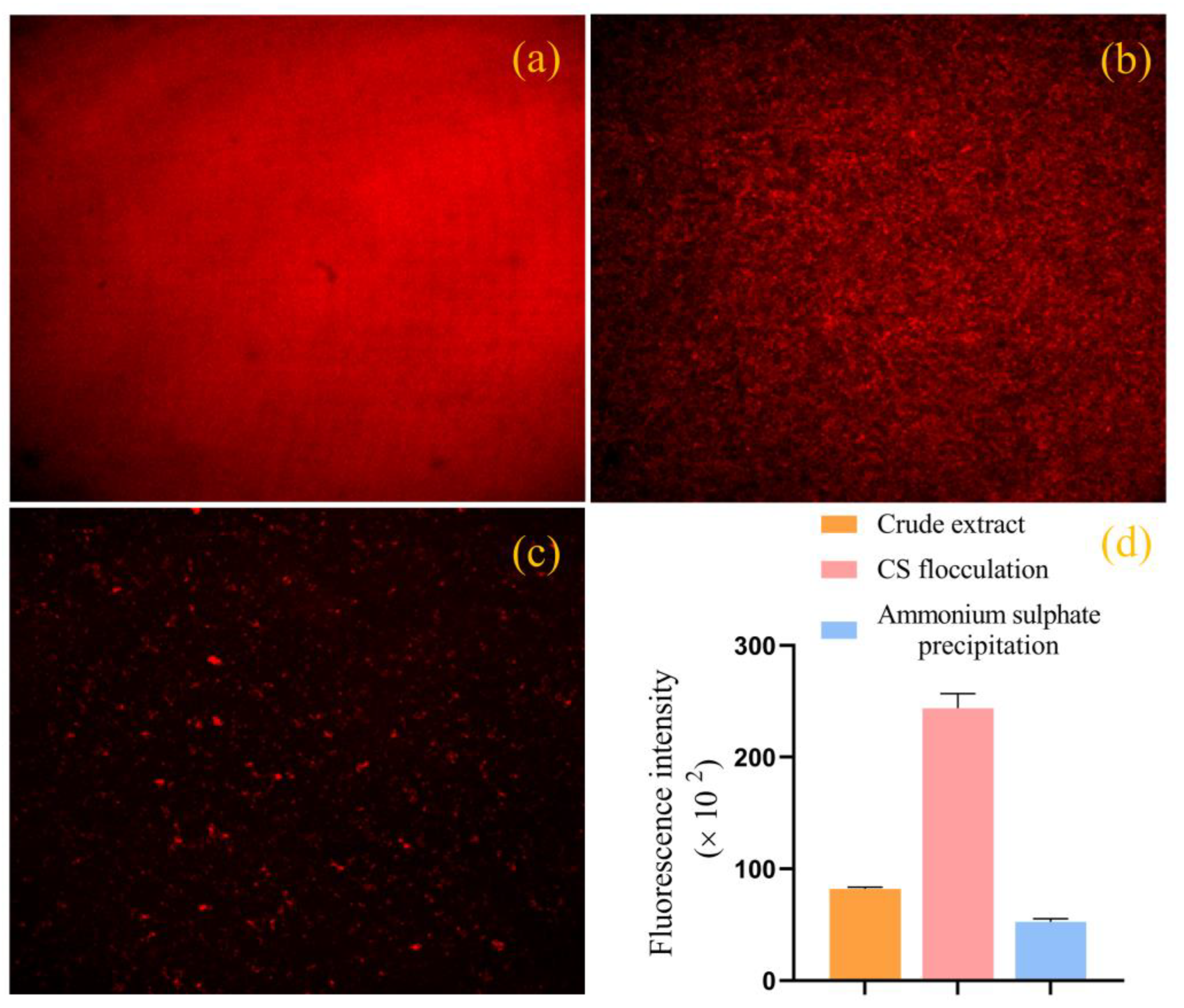 Molecules 28 03600 g007