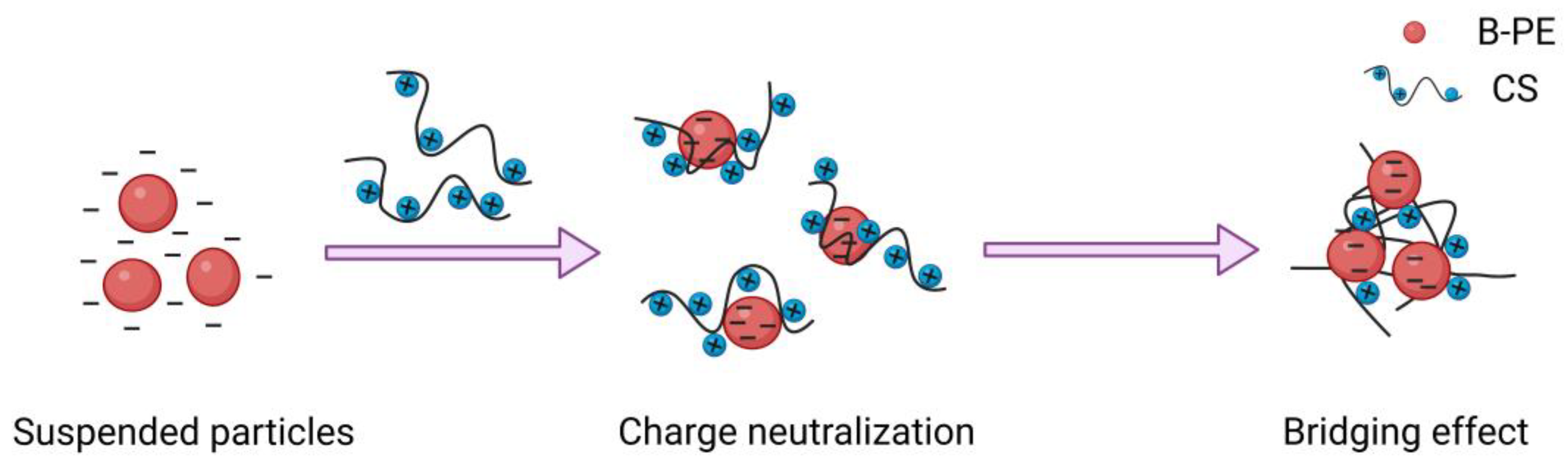 Molecules 28 03600 g008