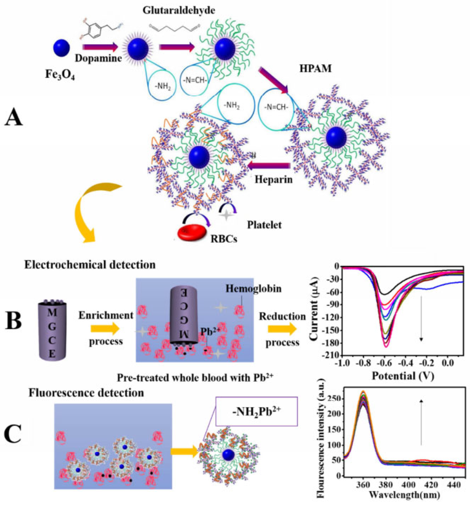 Molecules 28 03601 g005 Molecules 28 03601 g005