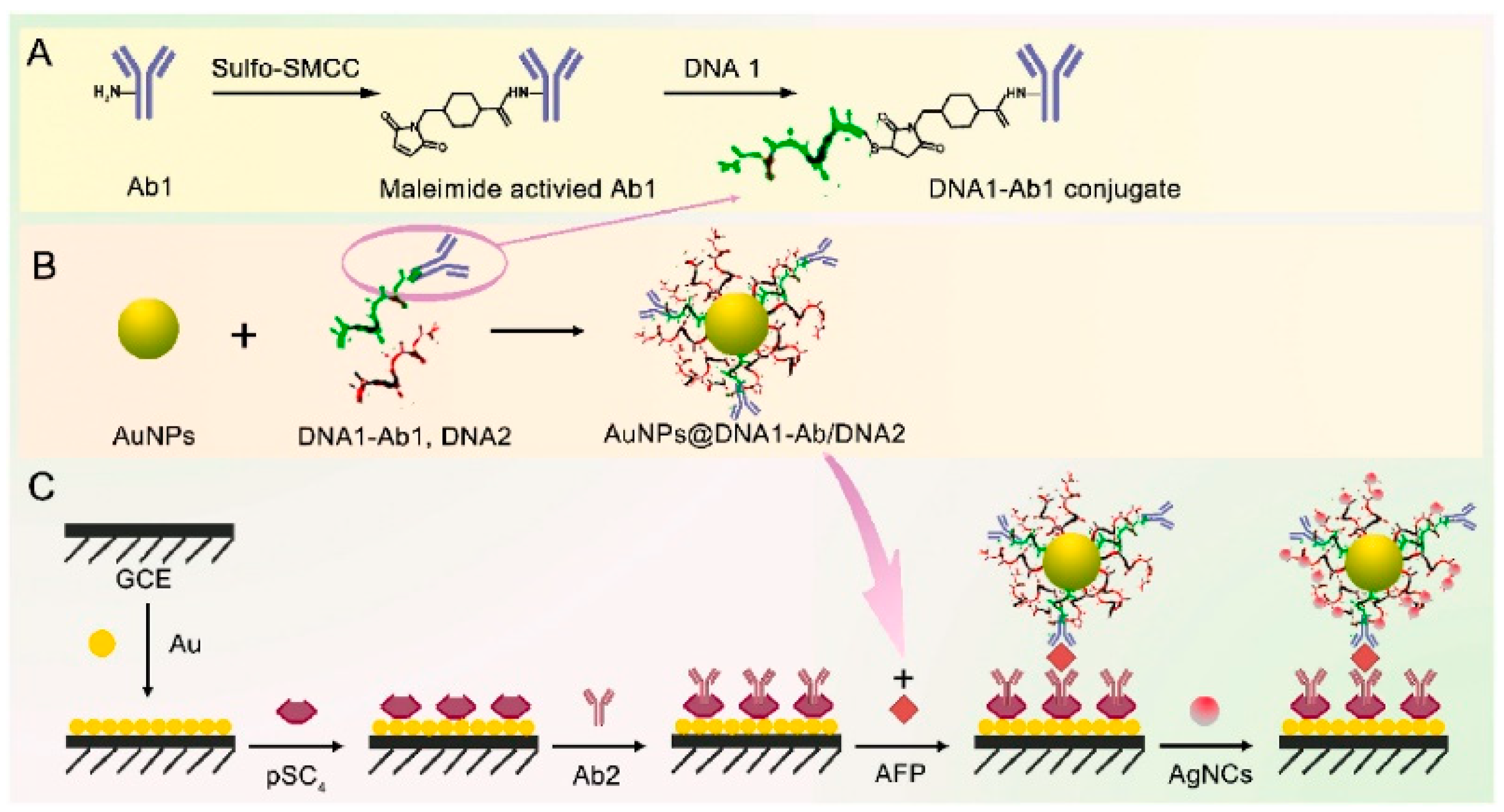 The Applications of Electrochemical Immunosensors in the Detection of ...
