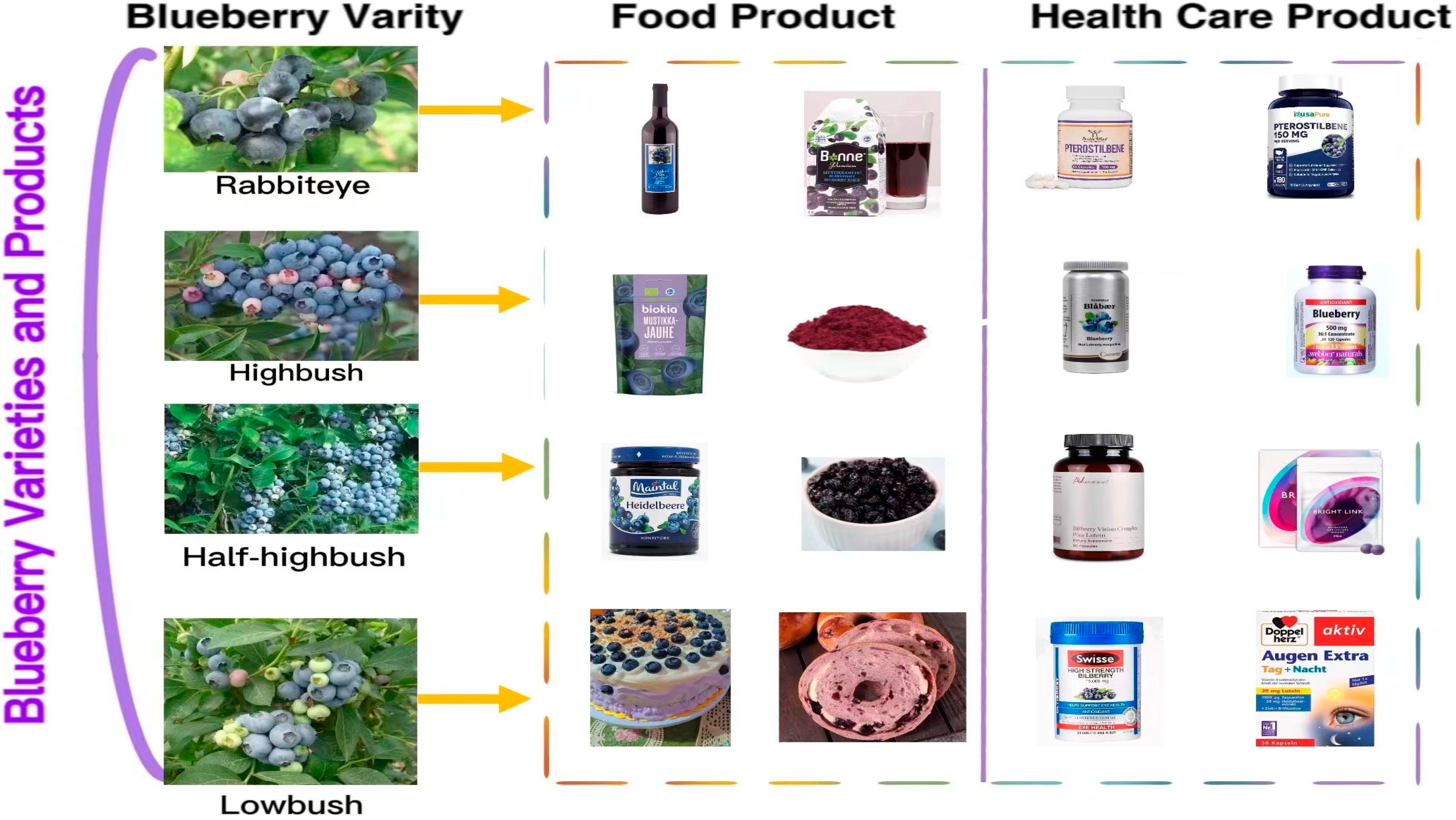 Molecules 28 03610 g001 Molecules 28 03610 g001