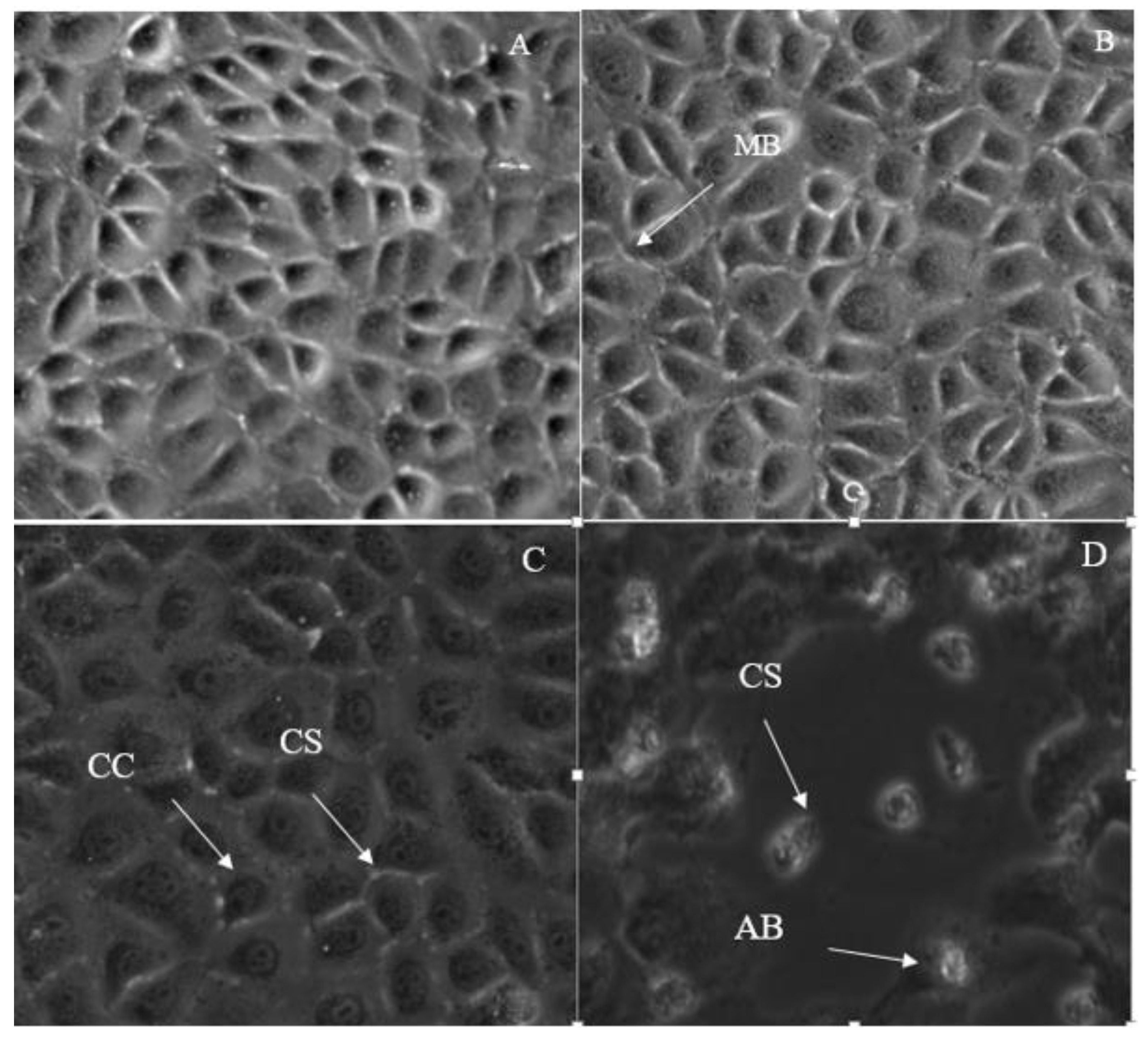 Molecules 28 03612 g010