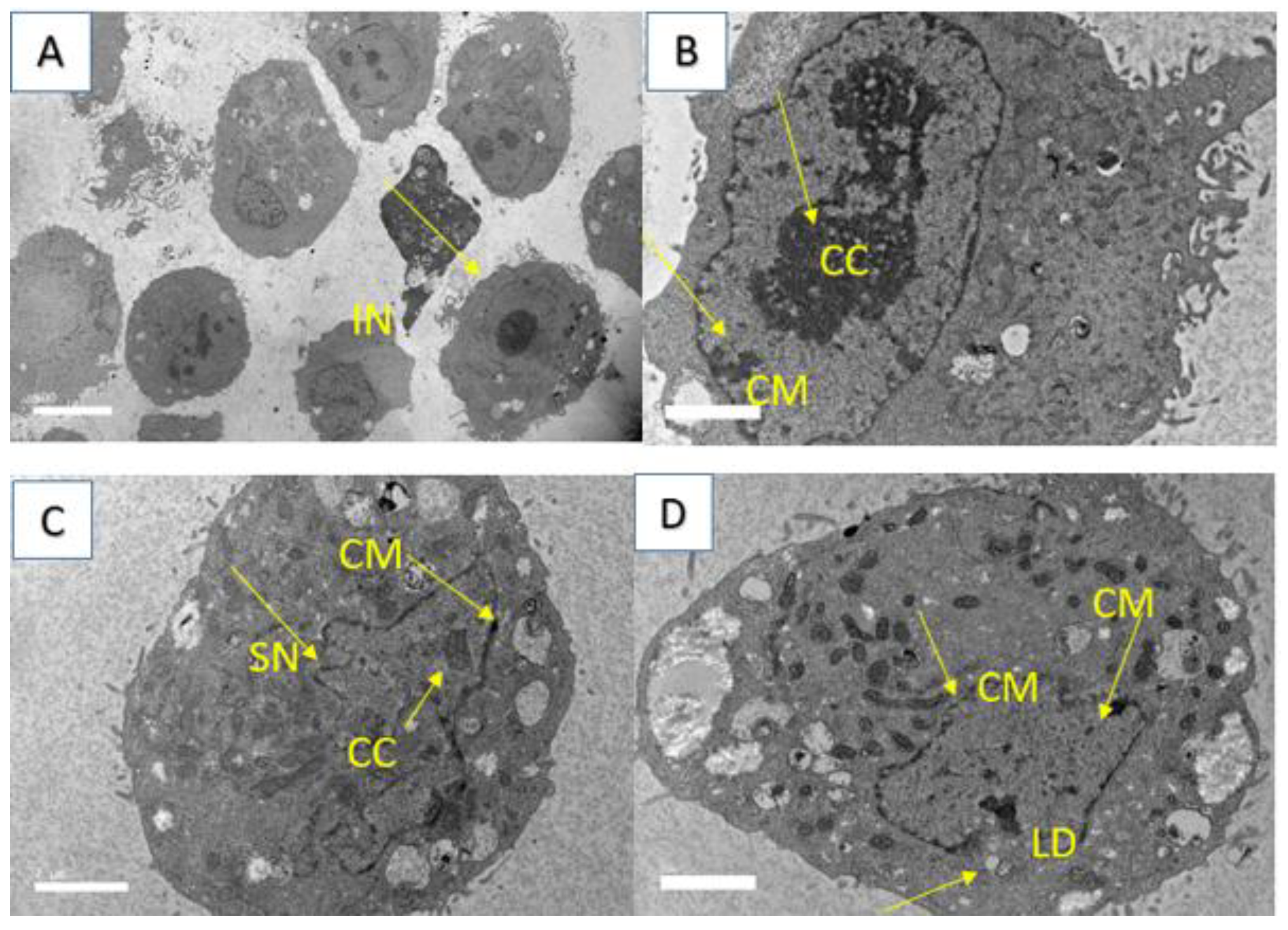 Molecules 28 03612 g012