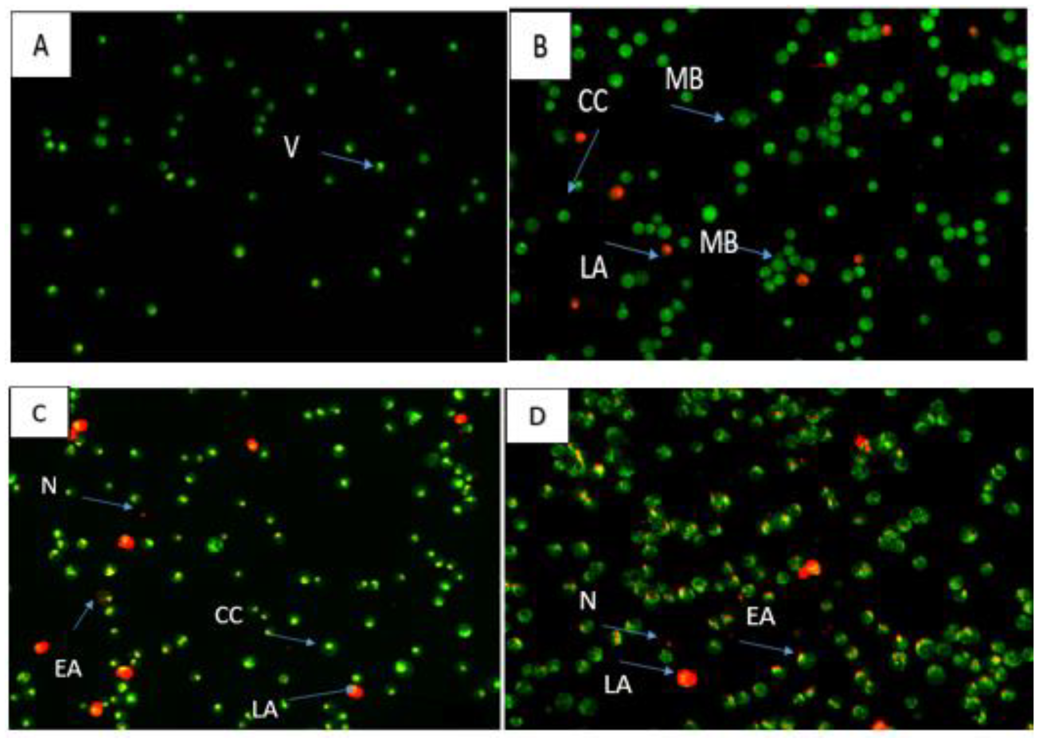 Molecules 28 03612 g013