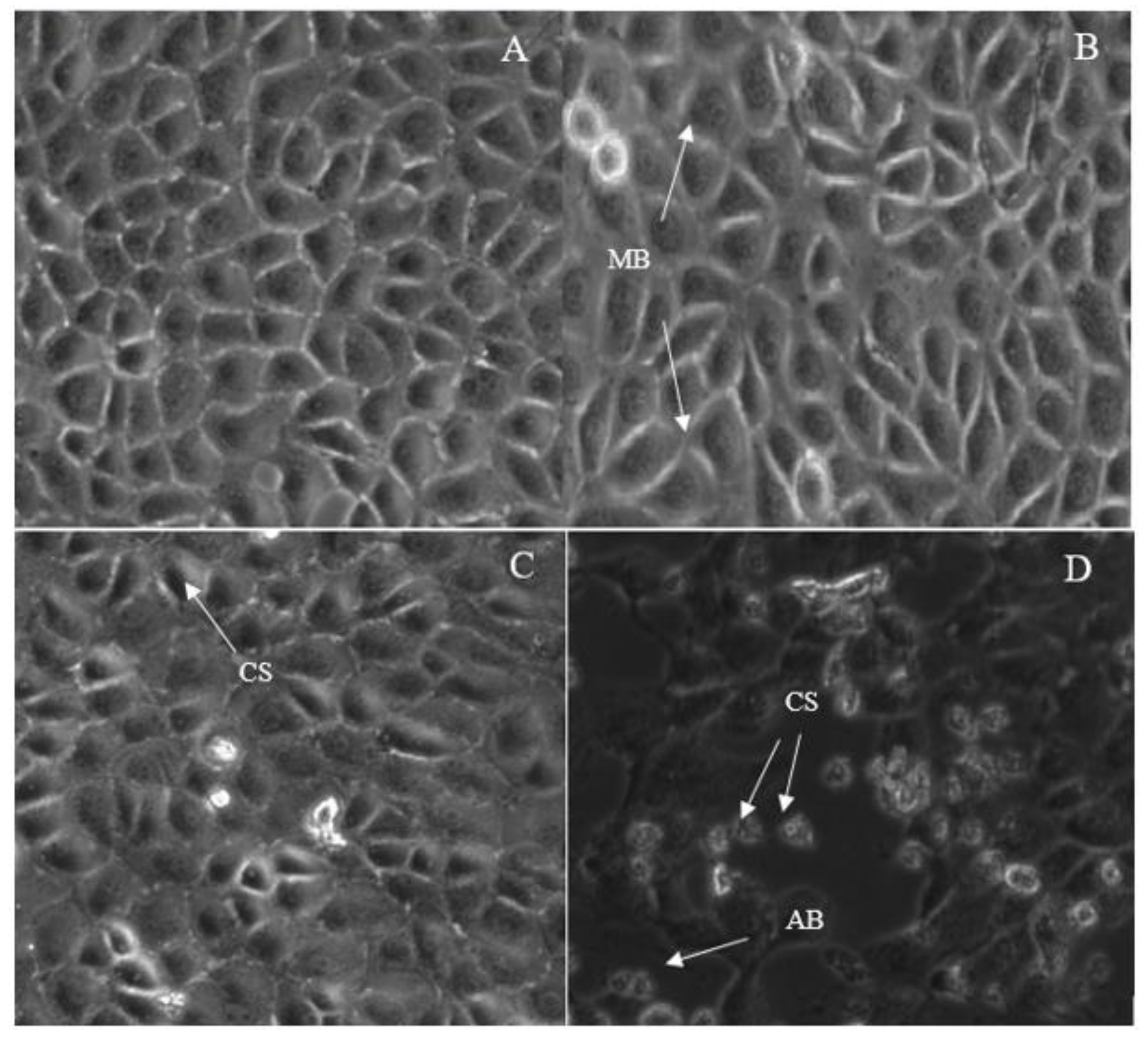 Molecules 28 03612 g014
