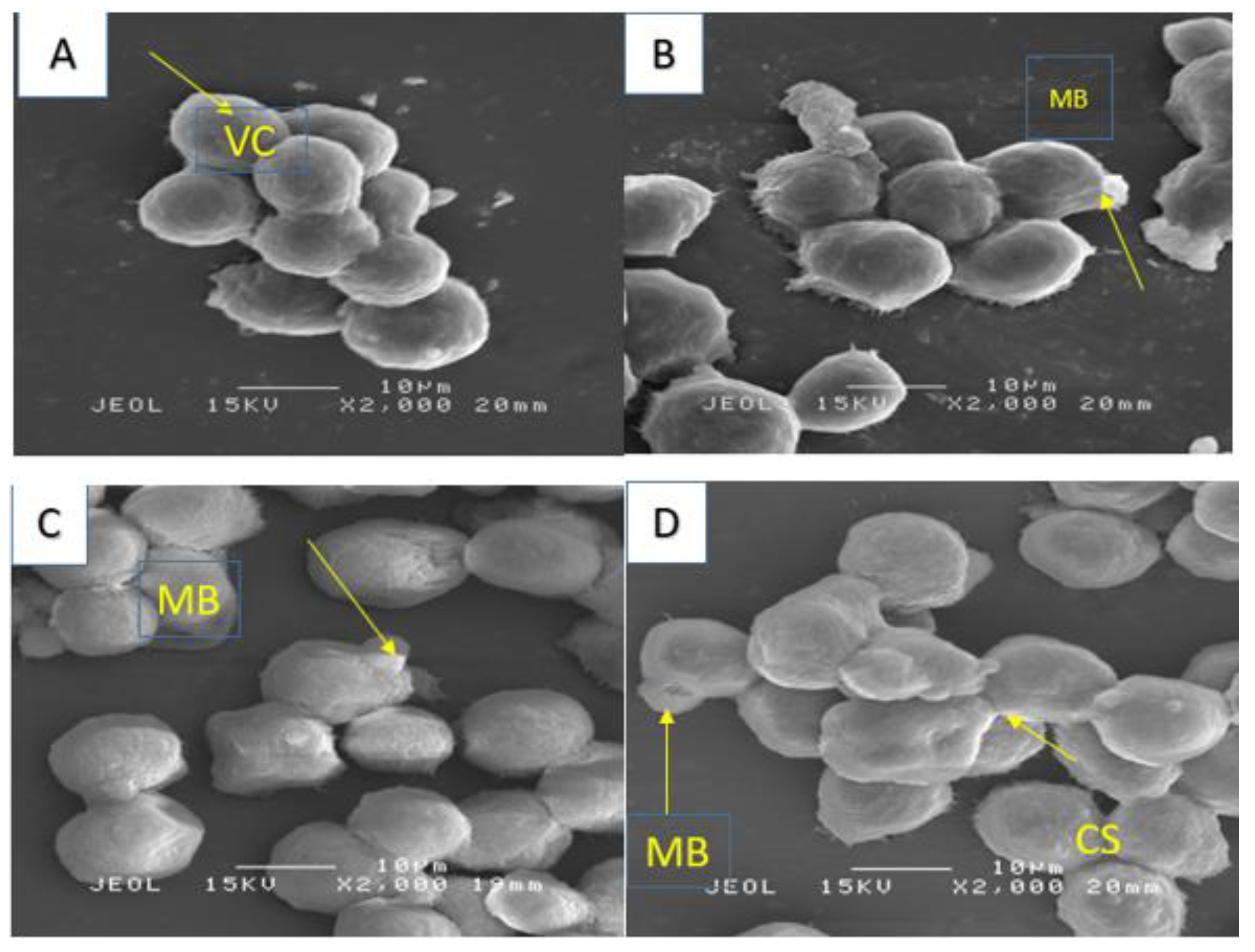 Molecules 28 03612 g015