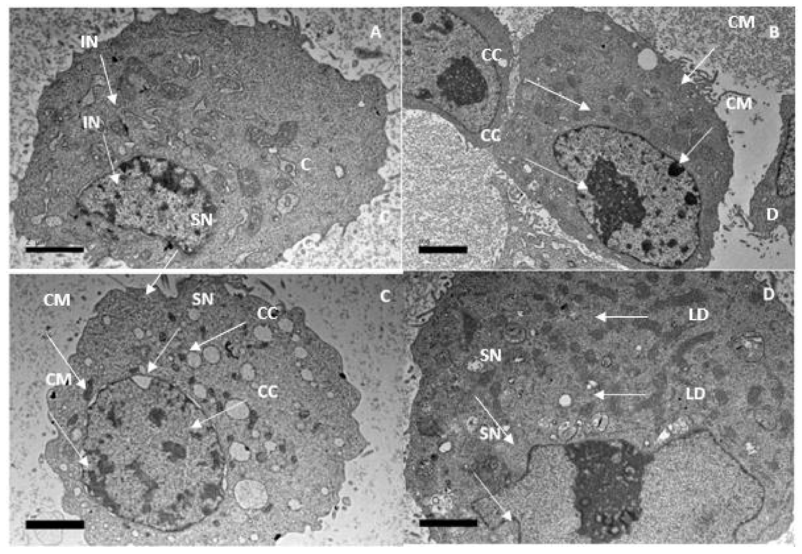 Molecules 28 03612 g016
