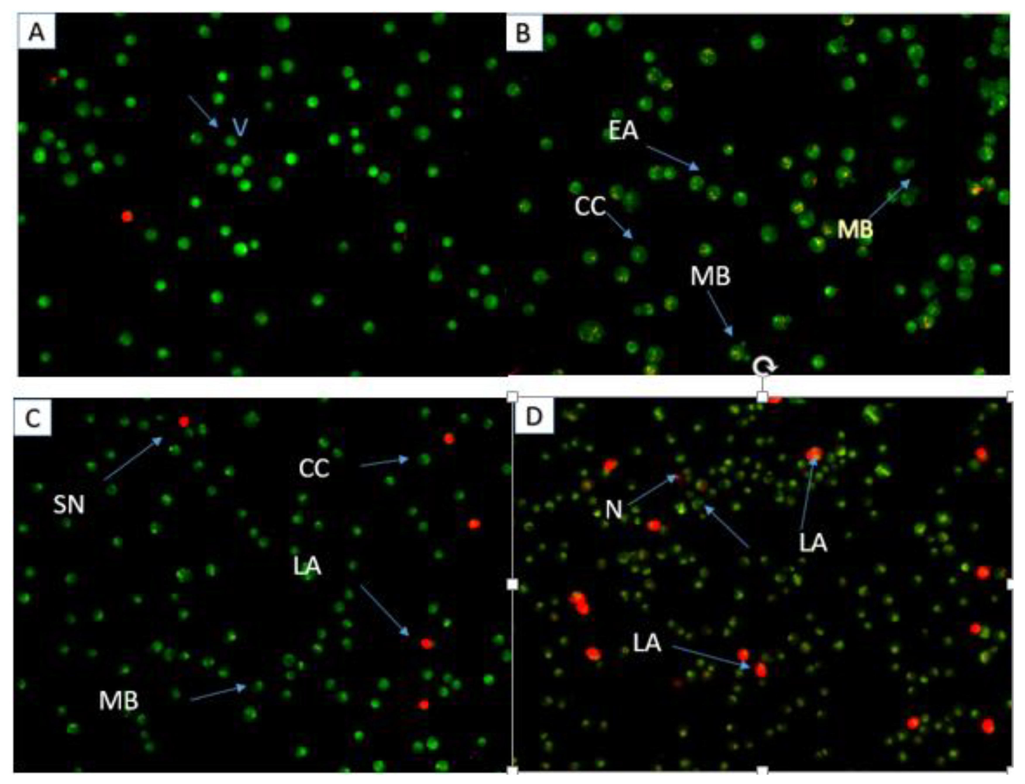 Molecules 28 03612 g017