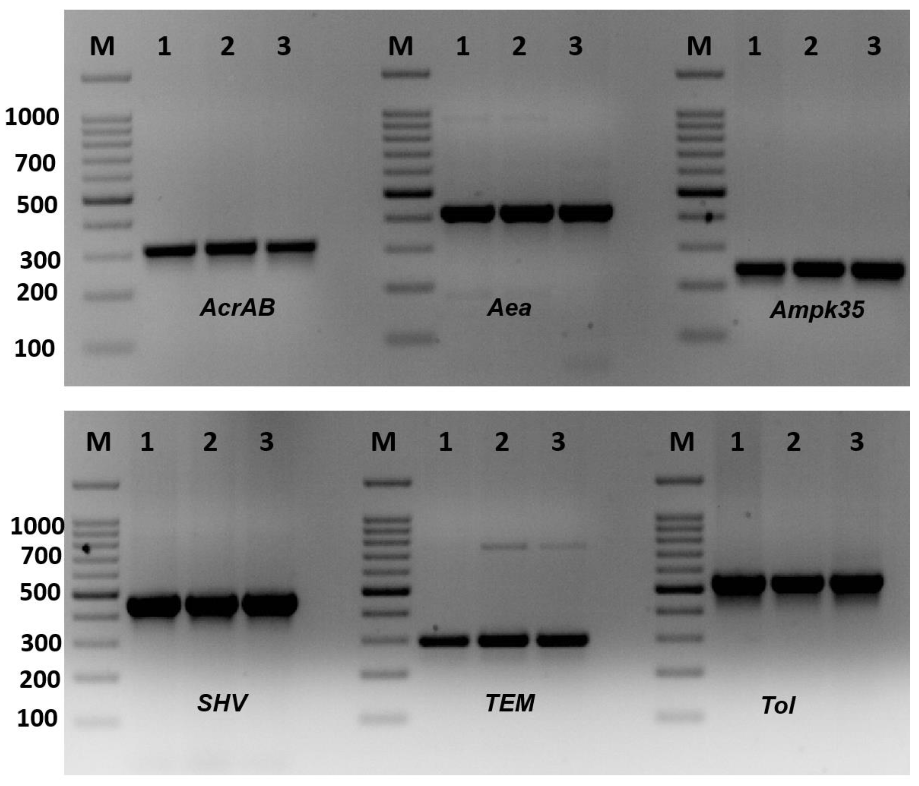 Molecules 28 03613 g002