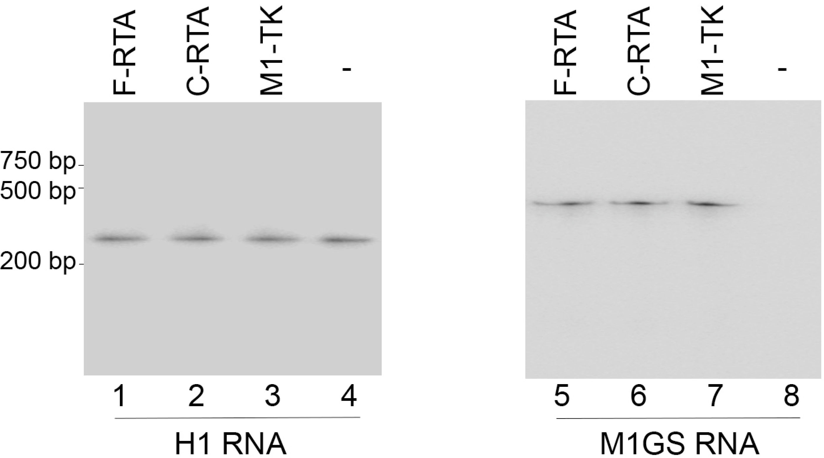 Molecules 28 03619 g002