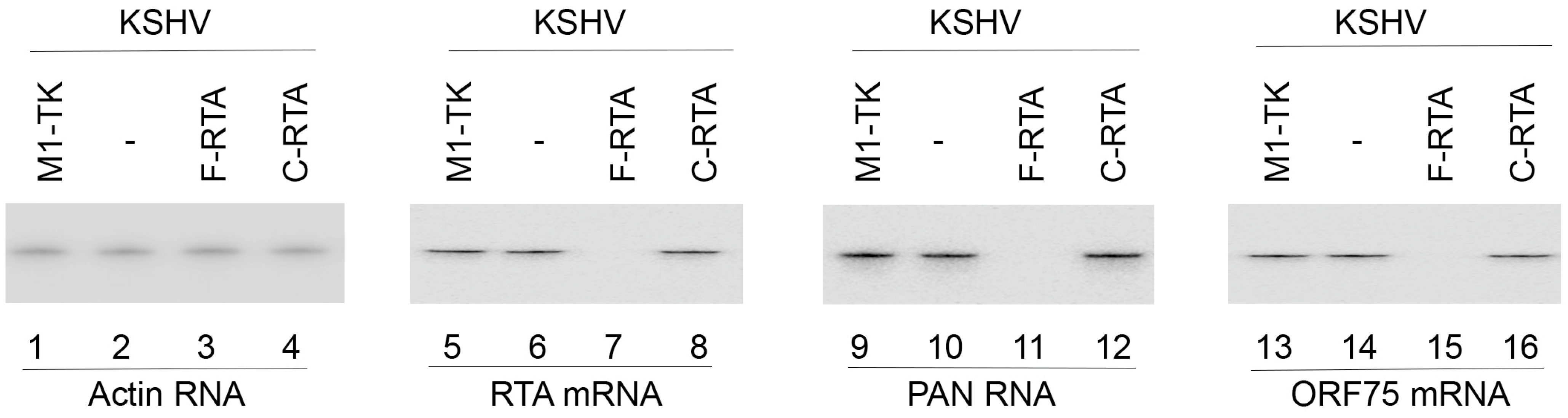 Molecules 28 03619 g003