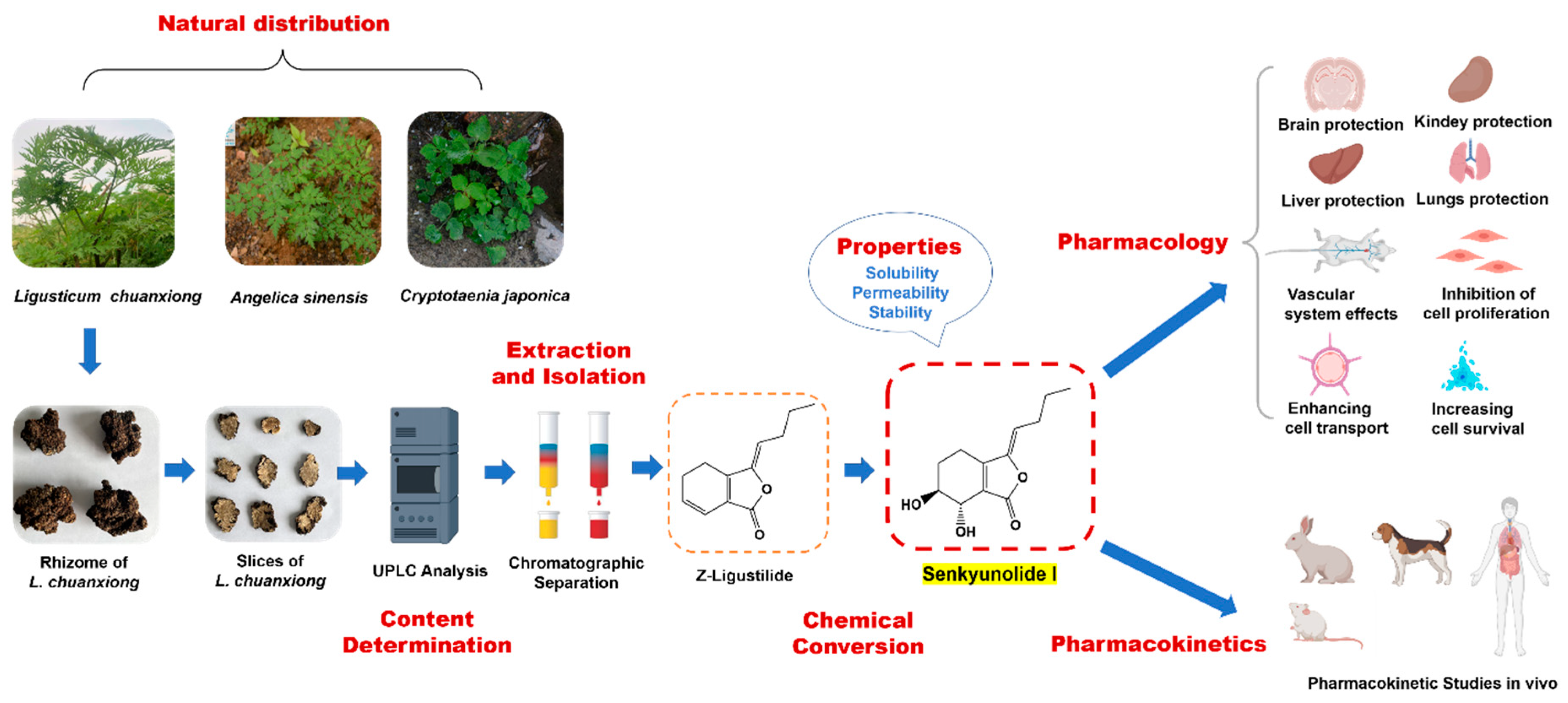 Molecules 28 03636 g002 Molecules 28 03636 g002
