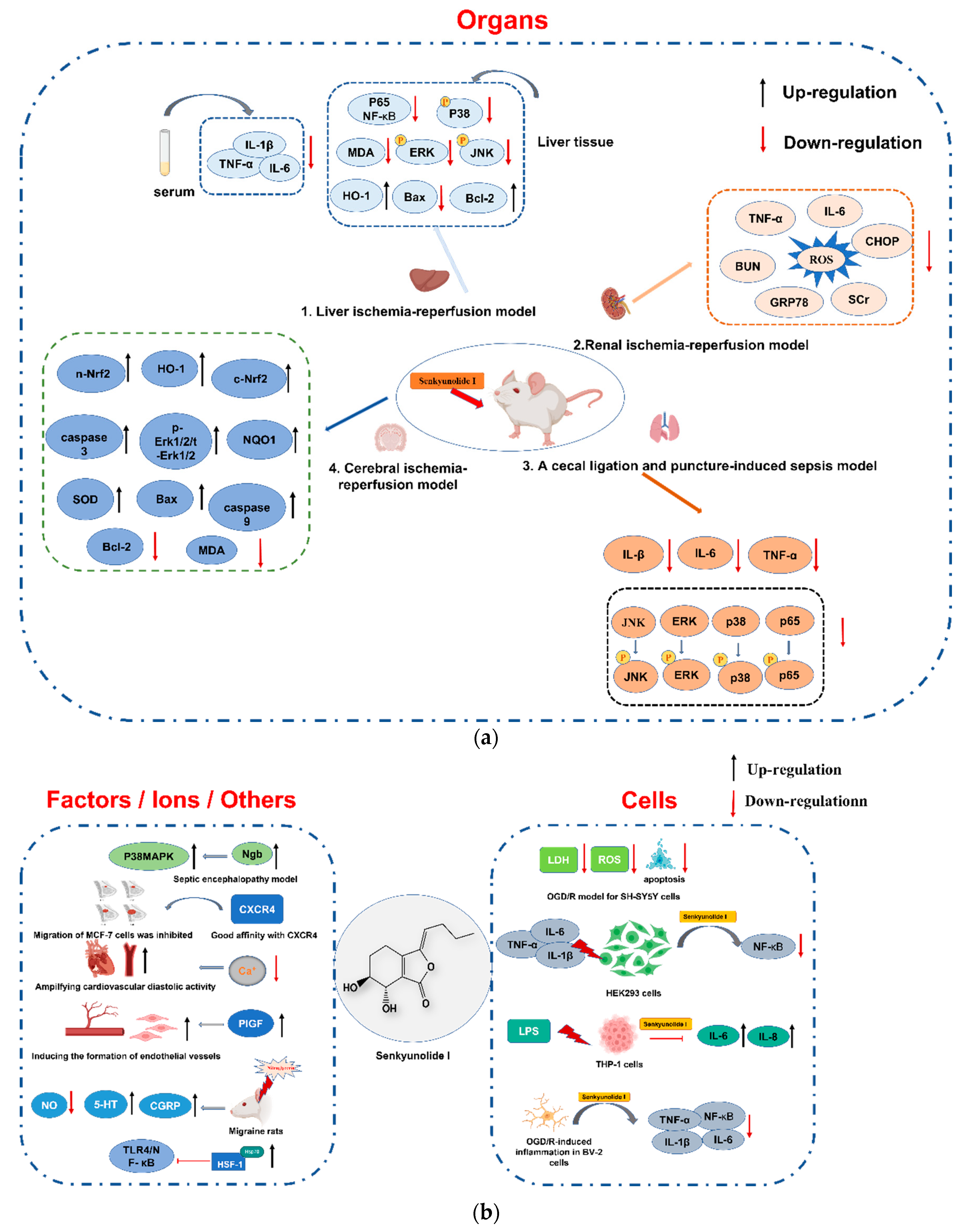 Molecules 28 03636 g004 Molecules 28 03636 g004