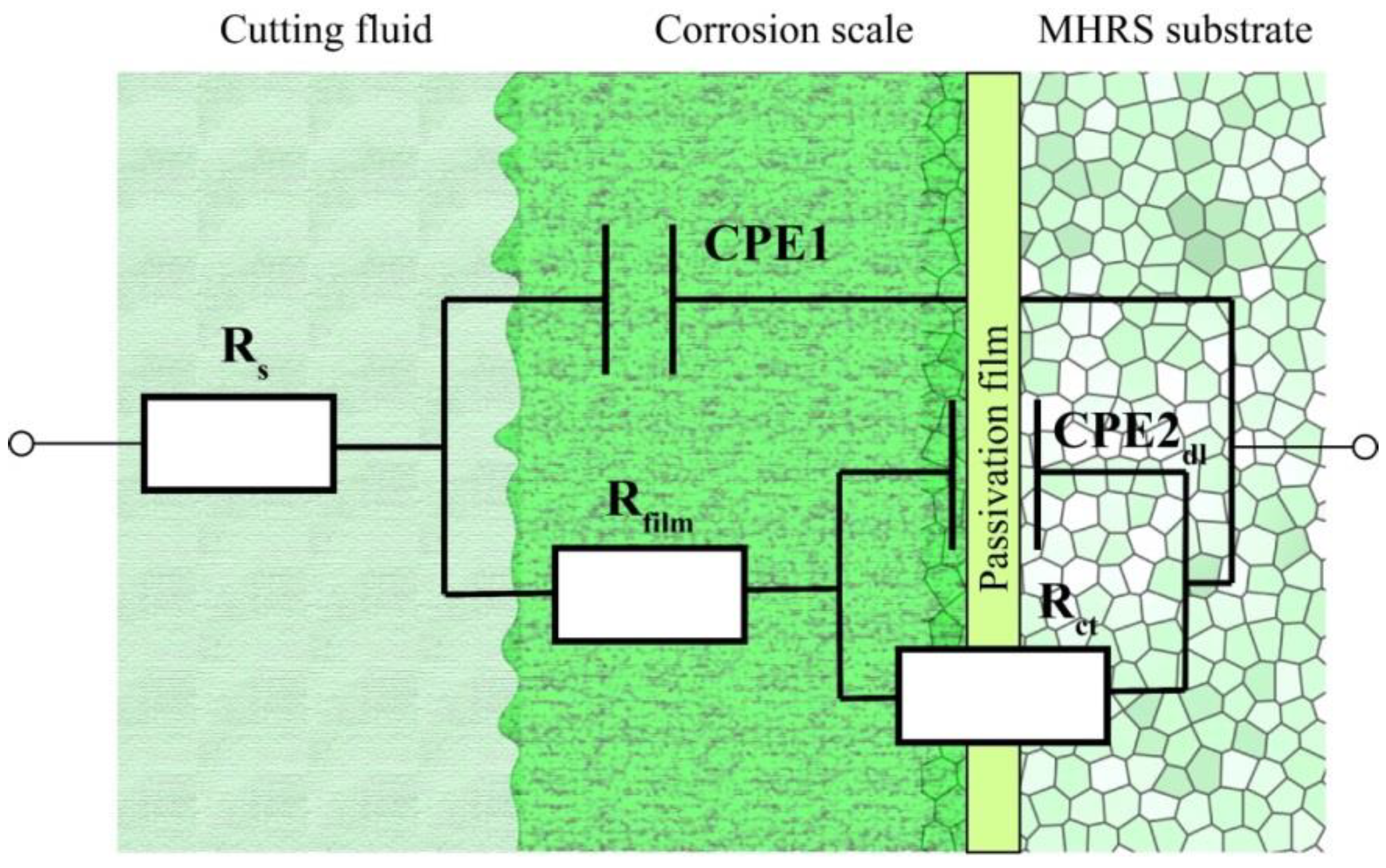 Molecules 28 03648 g005
