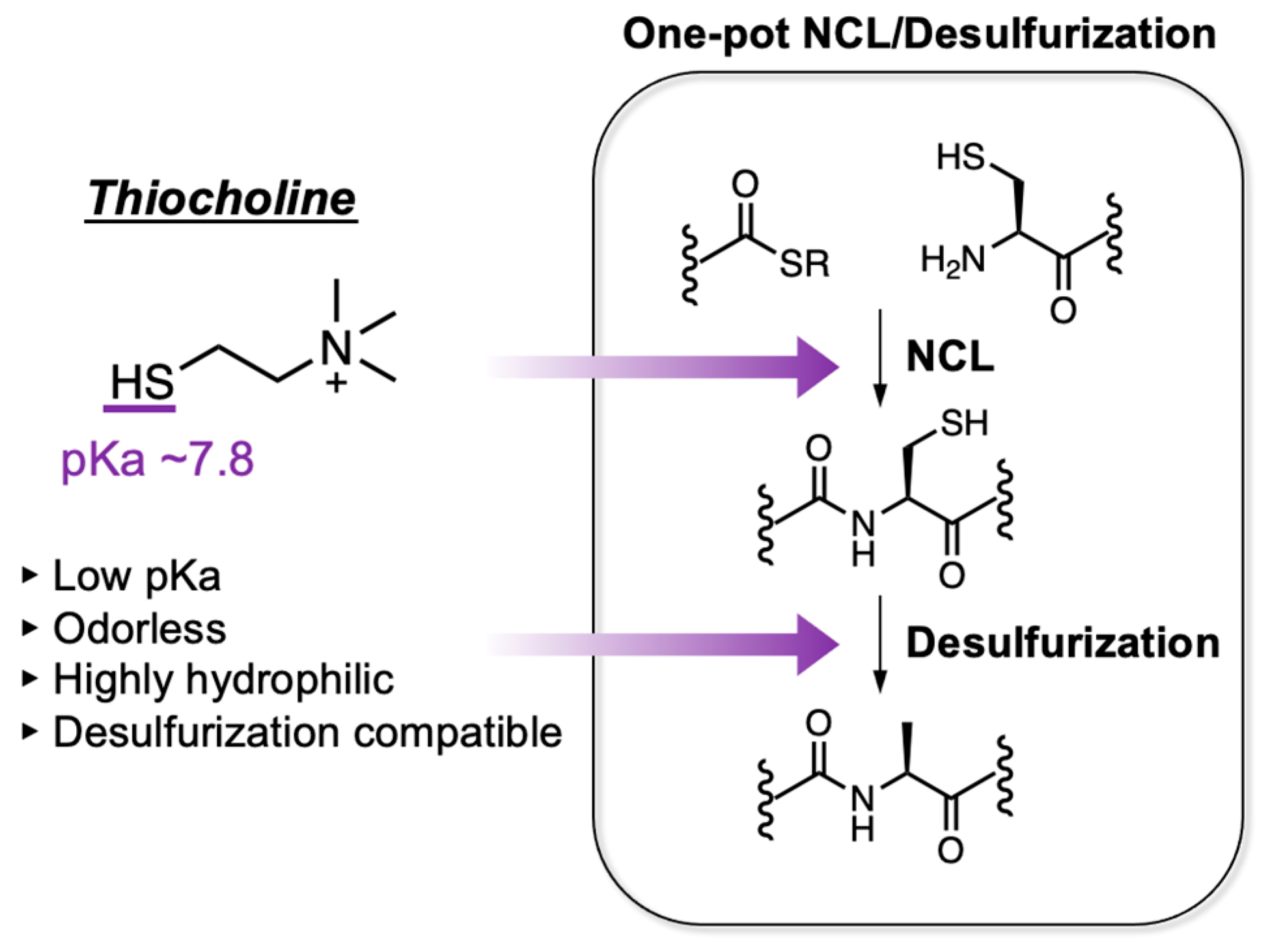 Molecules 28 03655 g001 Molecules 28 03655 g001