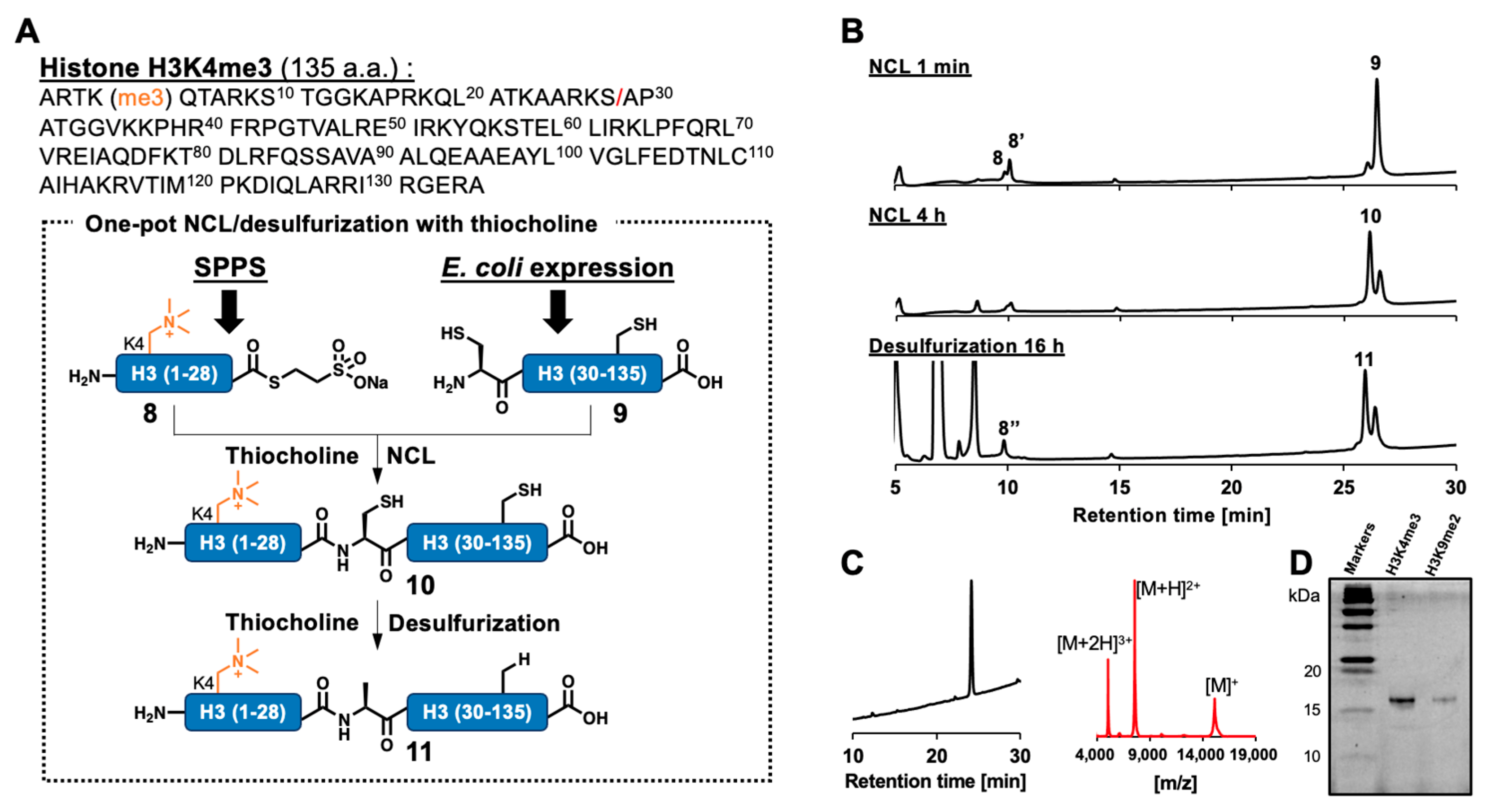 Molecules 28 03655 g004 Molecules 28 03655 g004