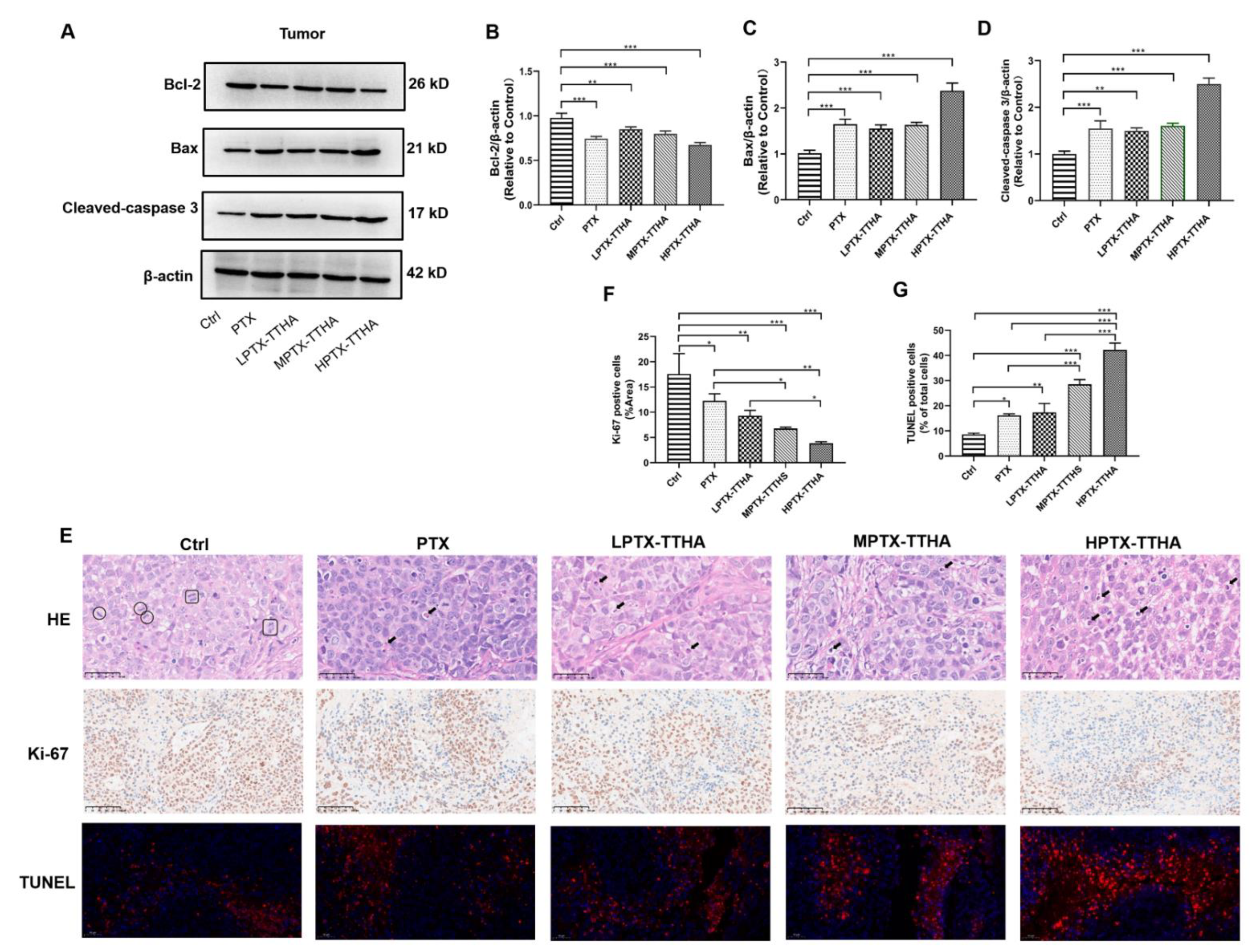 Molecules 28 03662 g006