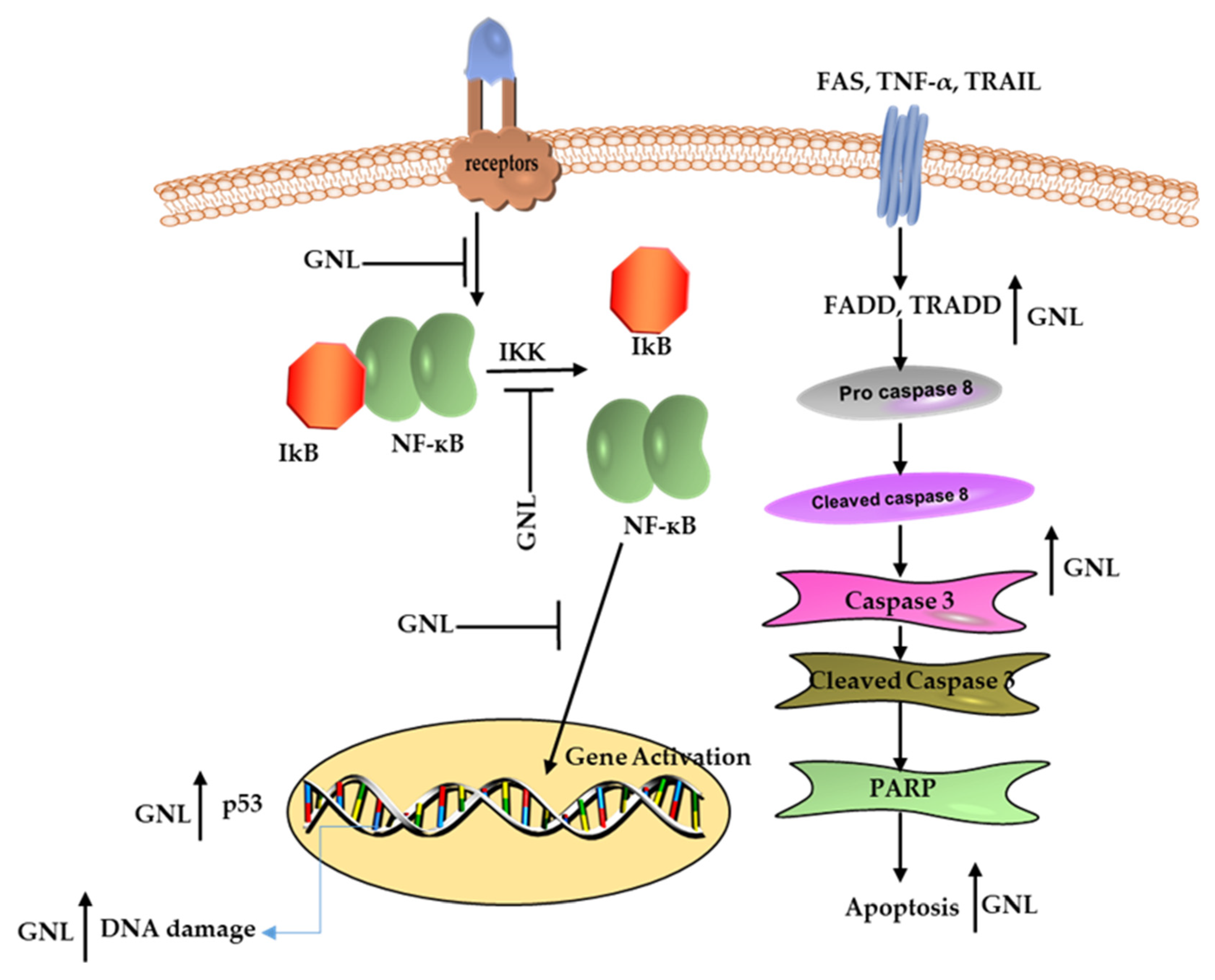 Molecules 28 03669 g004