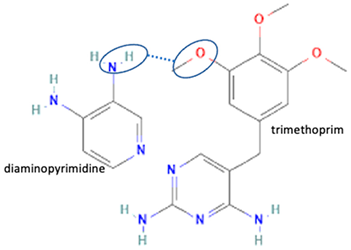 Molecules 28 03672 i010 Molecules 28 03672 i010