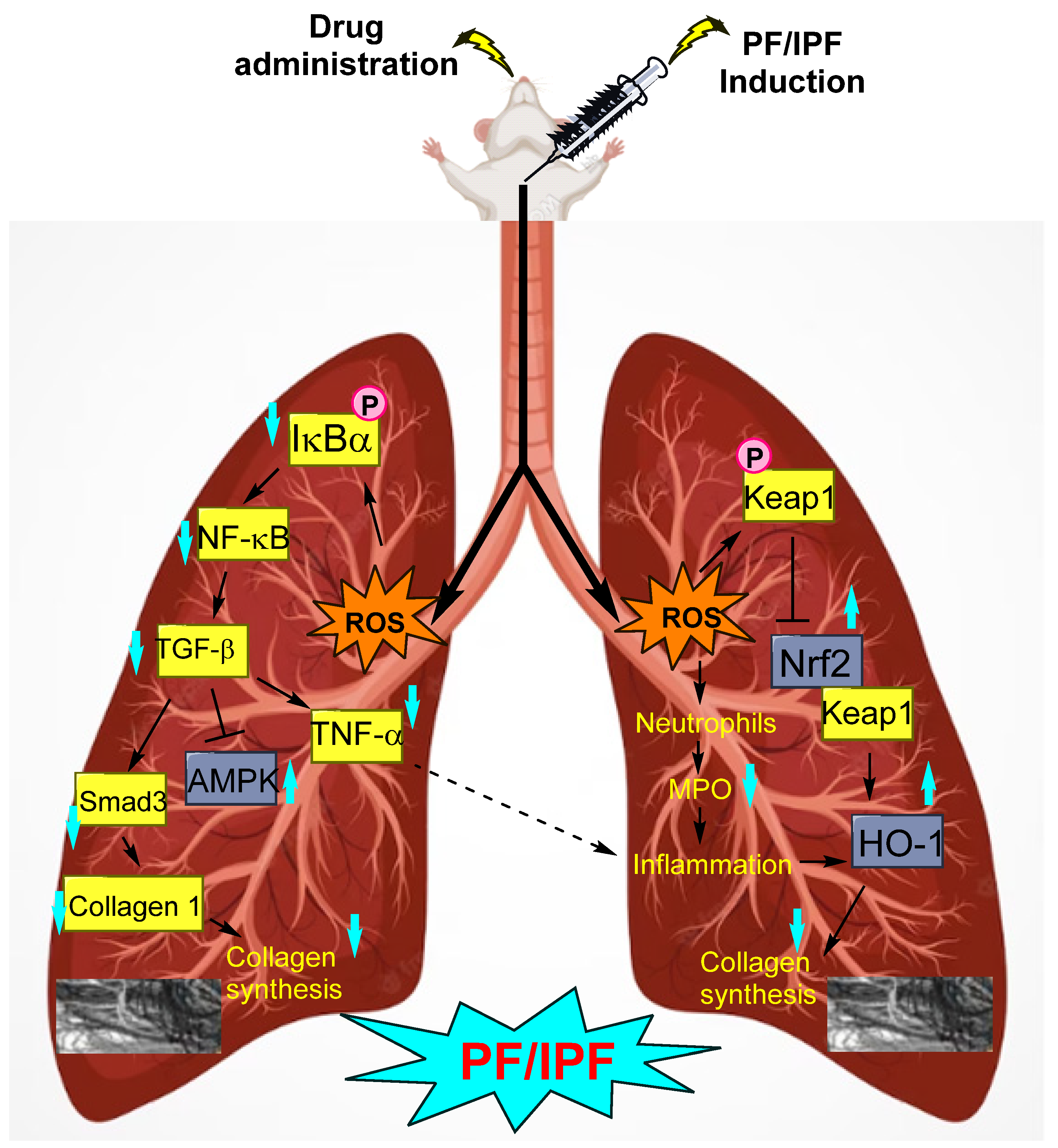 Molecules 28 03674 g001