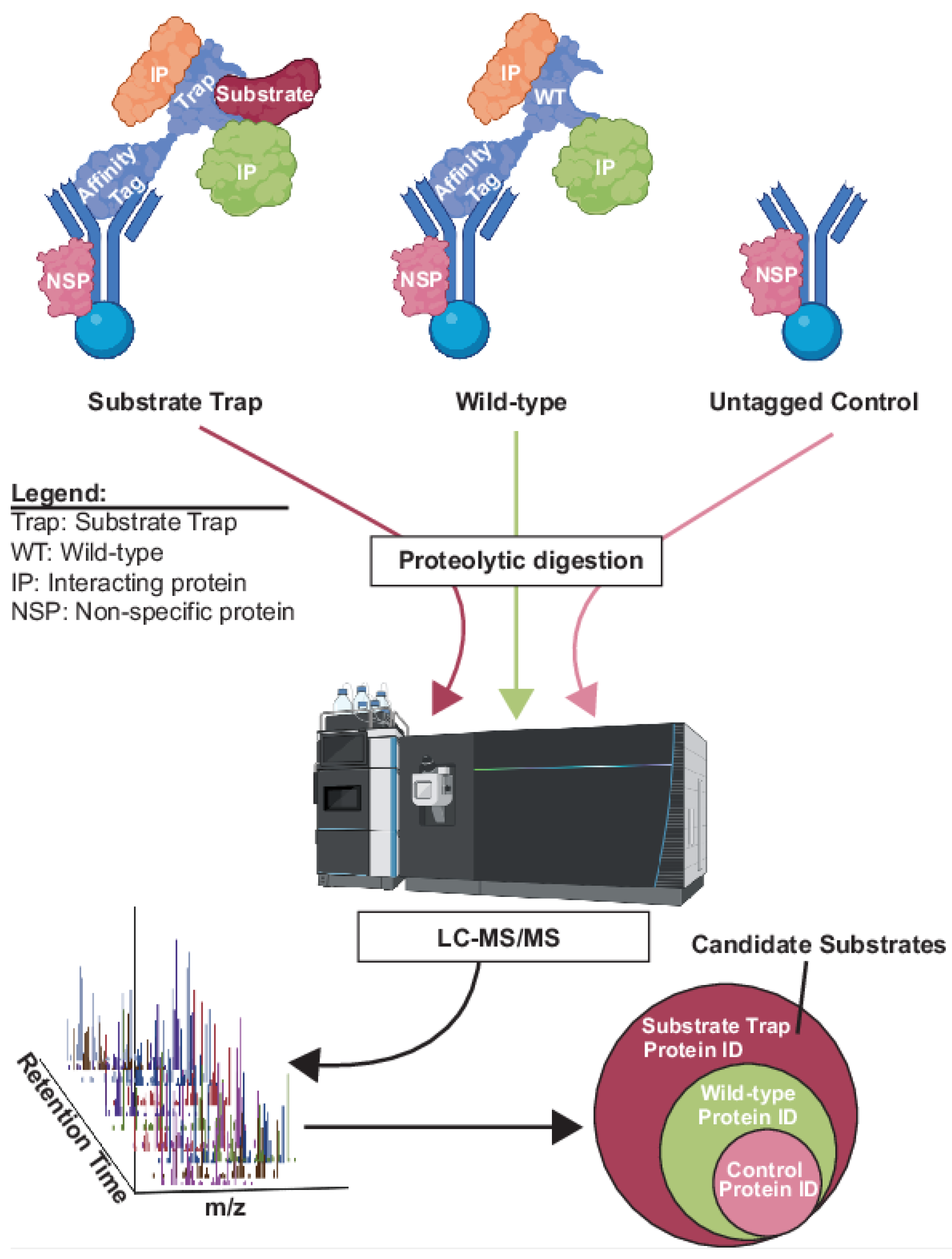 Molecules 28 03675 g002