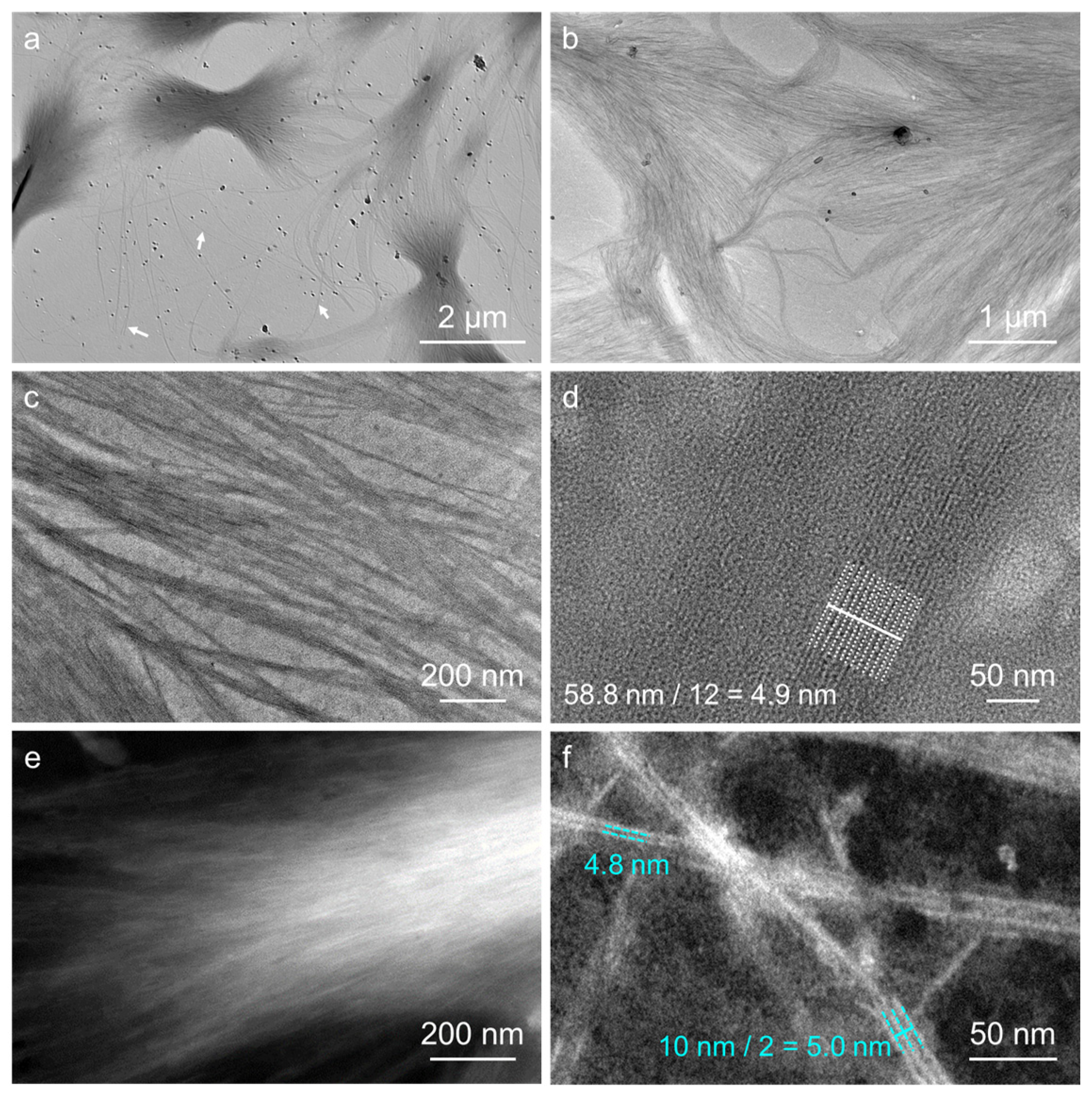 Molecules 28 03677 g009
