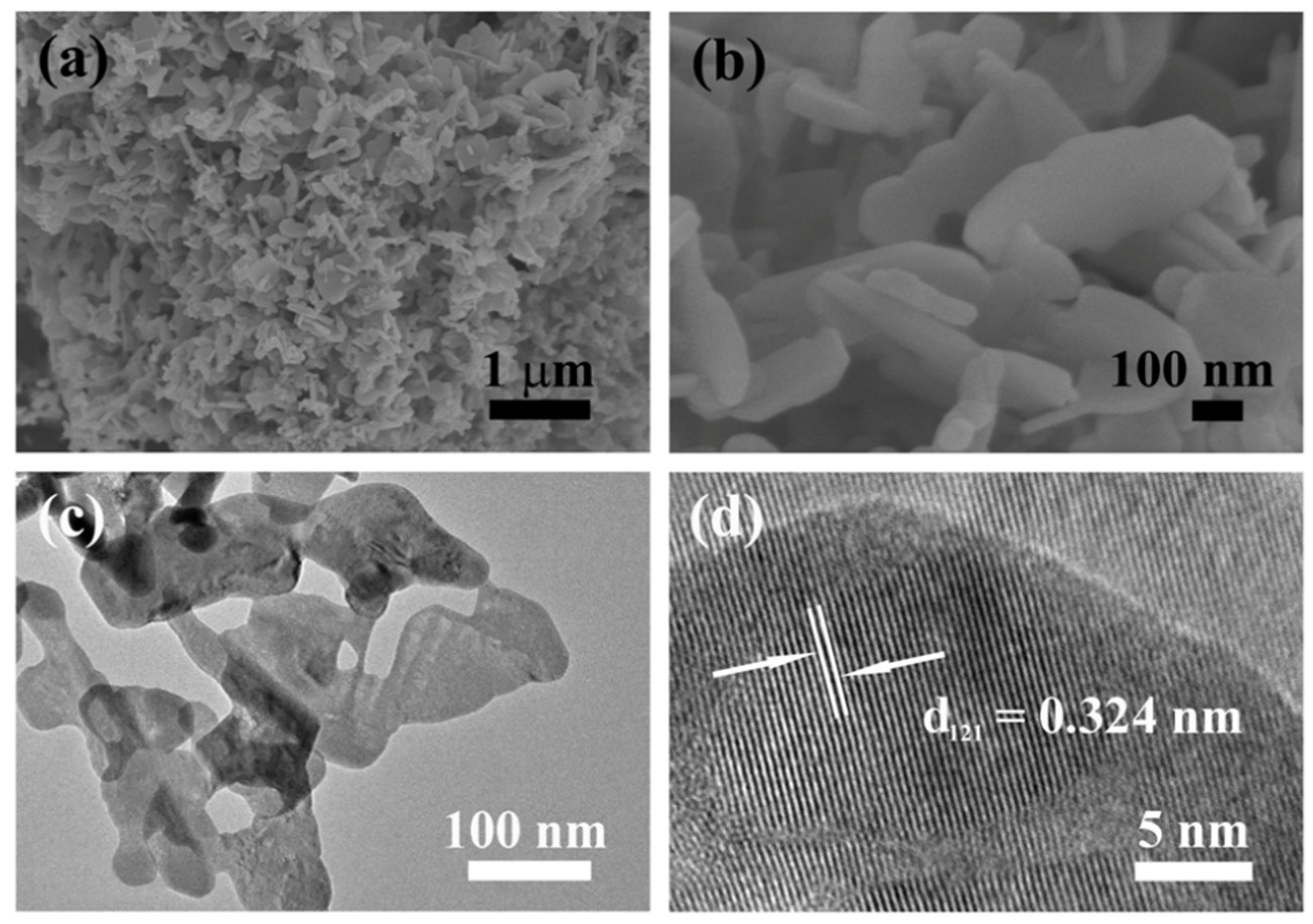 Molecules 28 03681 g002 Molecules 28 03681 g002
