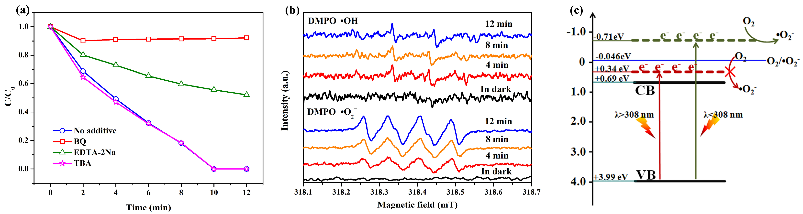 Molecules 28 03681 g005 Molecules 28 03681 g005