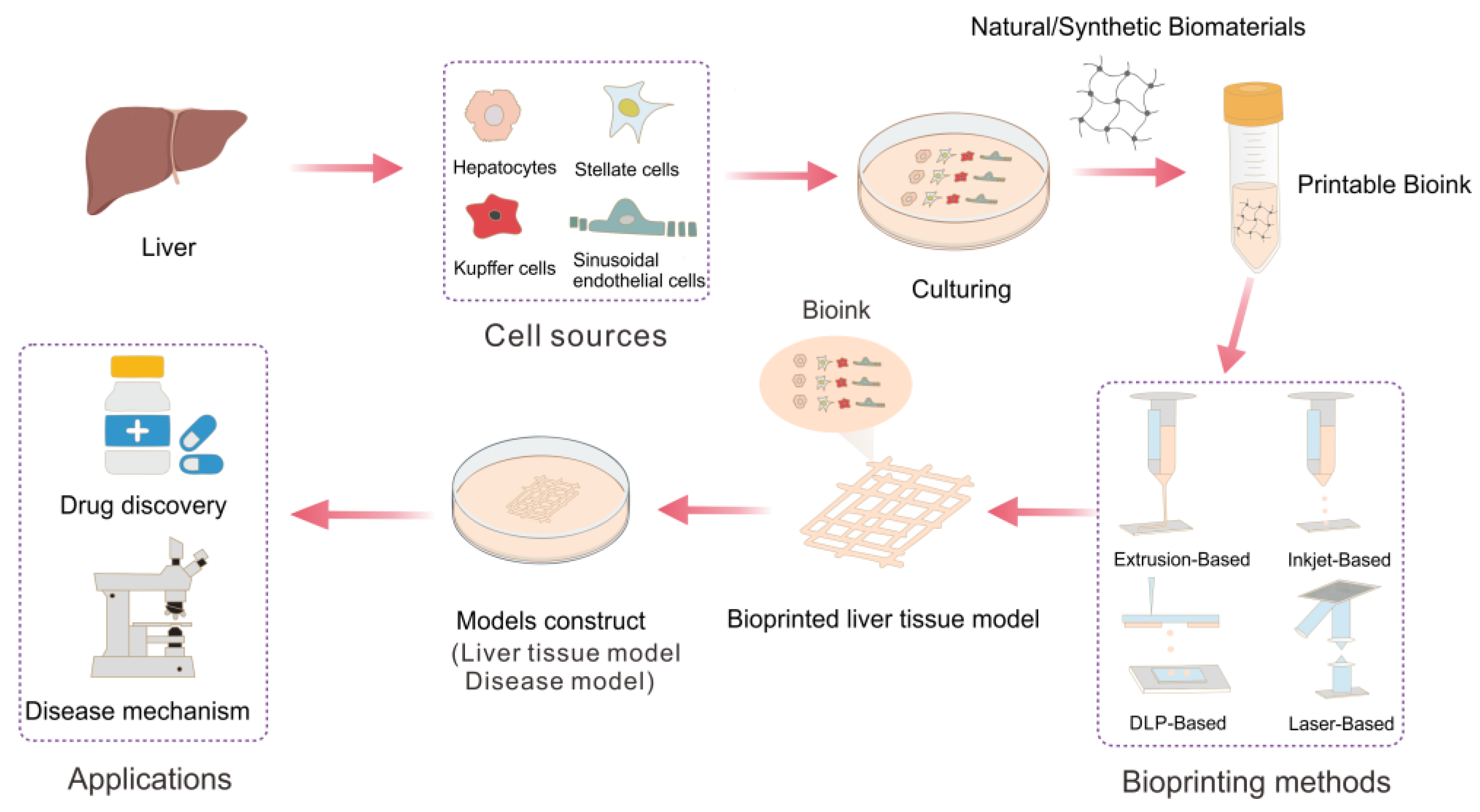 Molecules 28 03683 g001