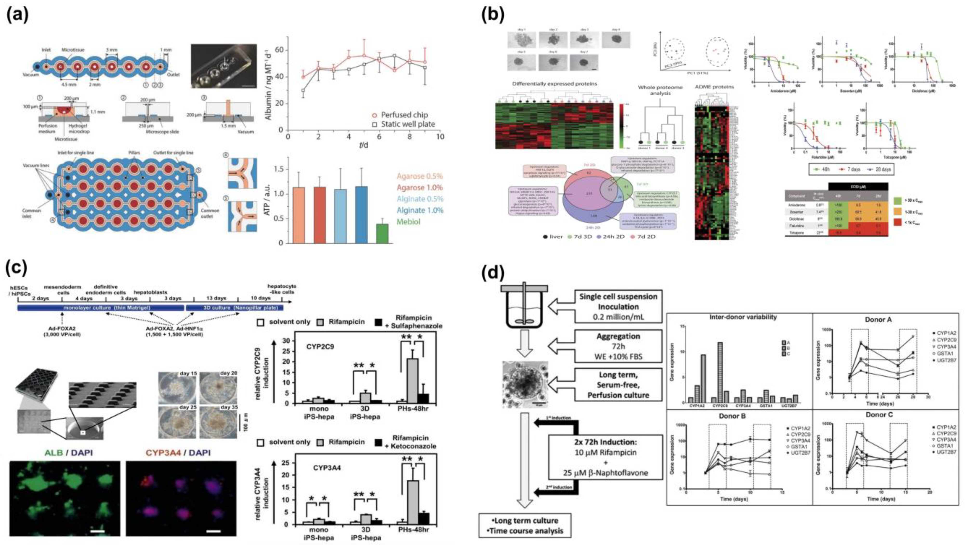 Molecules 28 03683 g003
