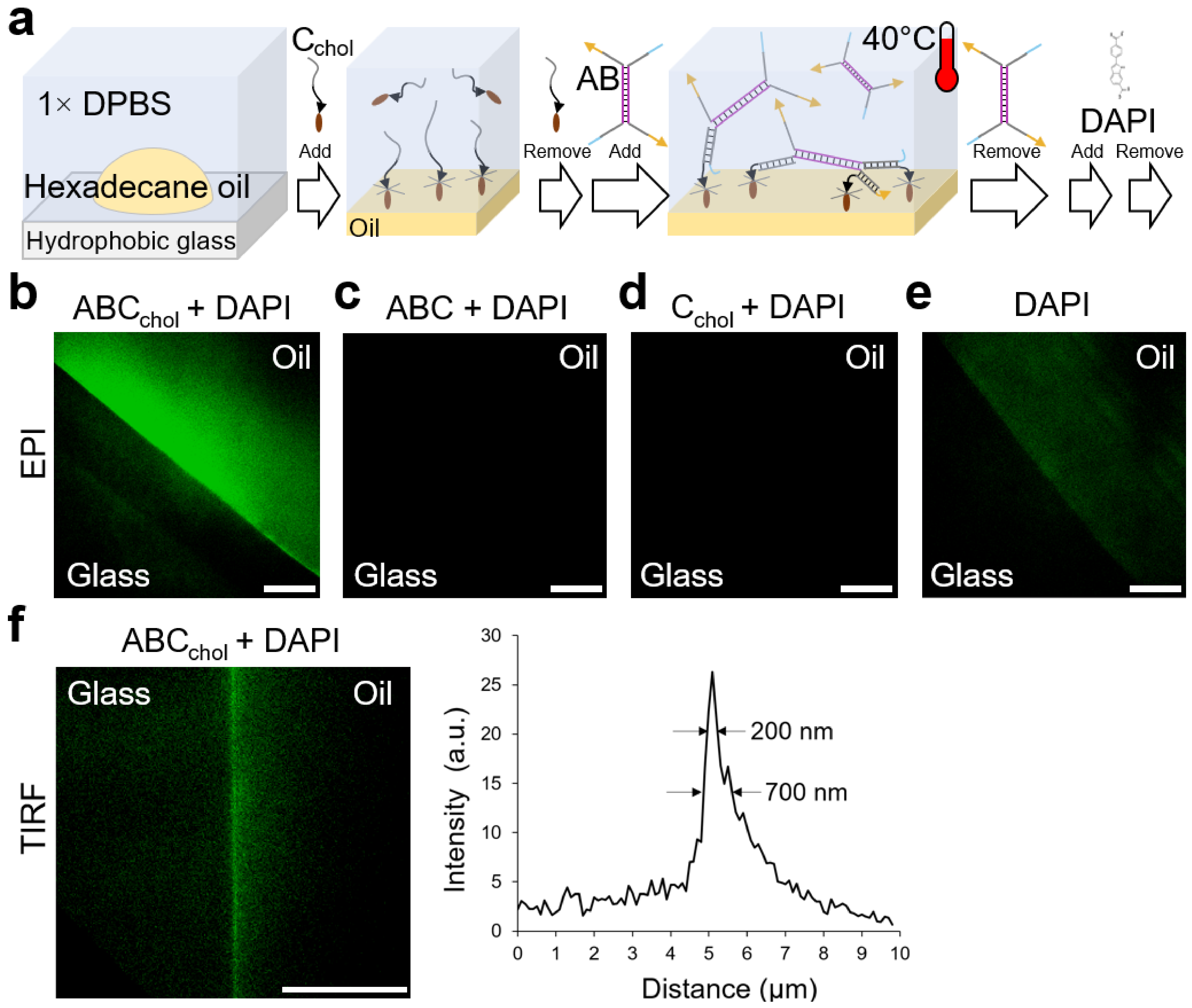 Molecules 28 03686 g005