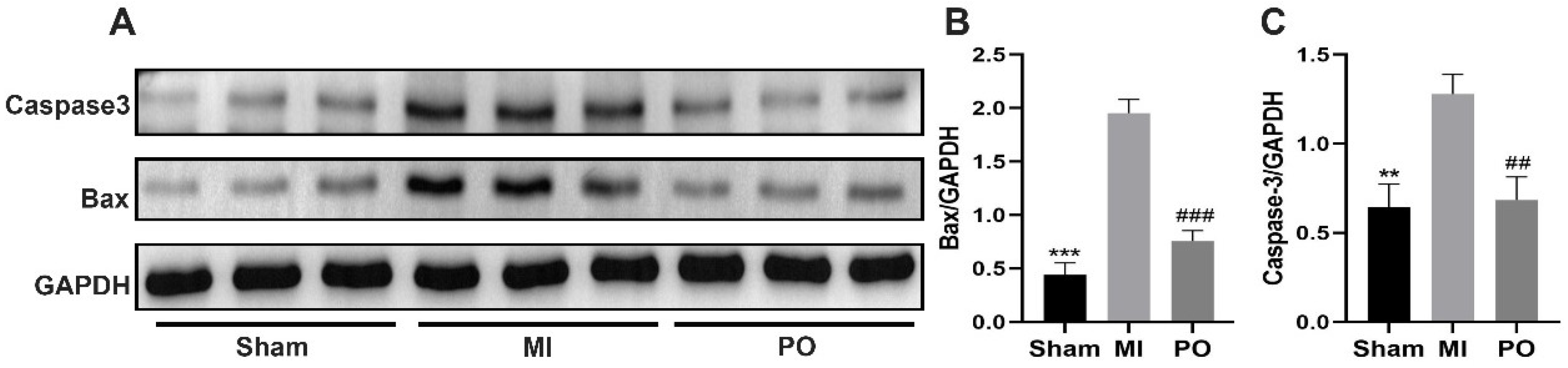 Molecules 28 03687 g004