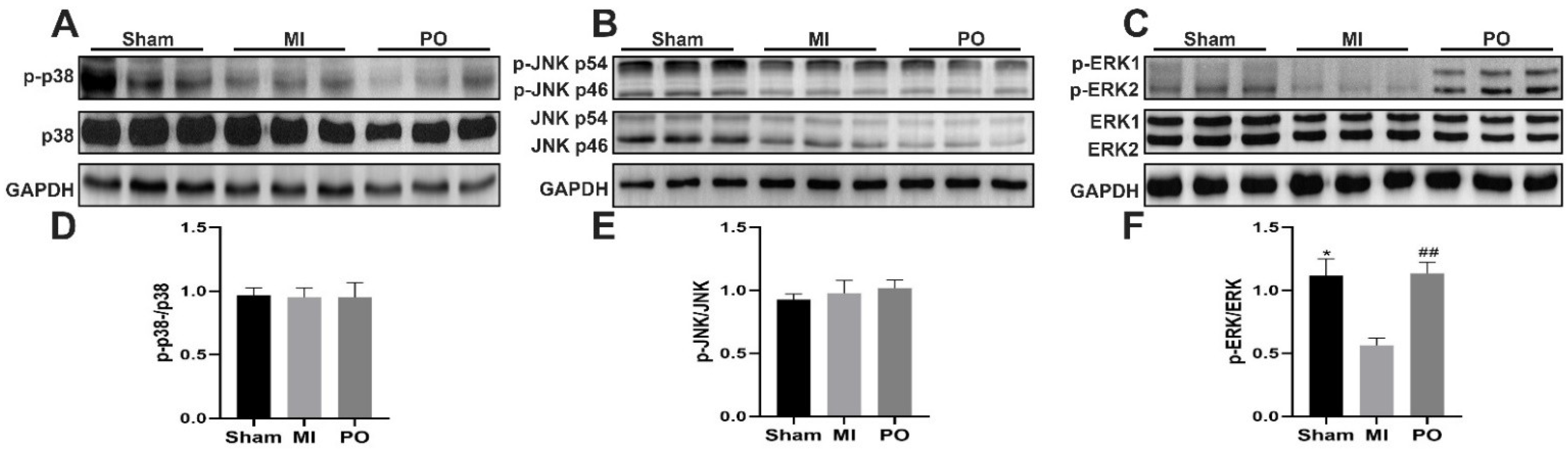 Molecules 28 03687 g005