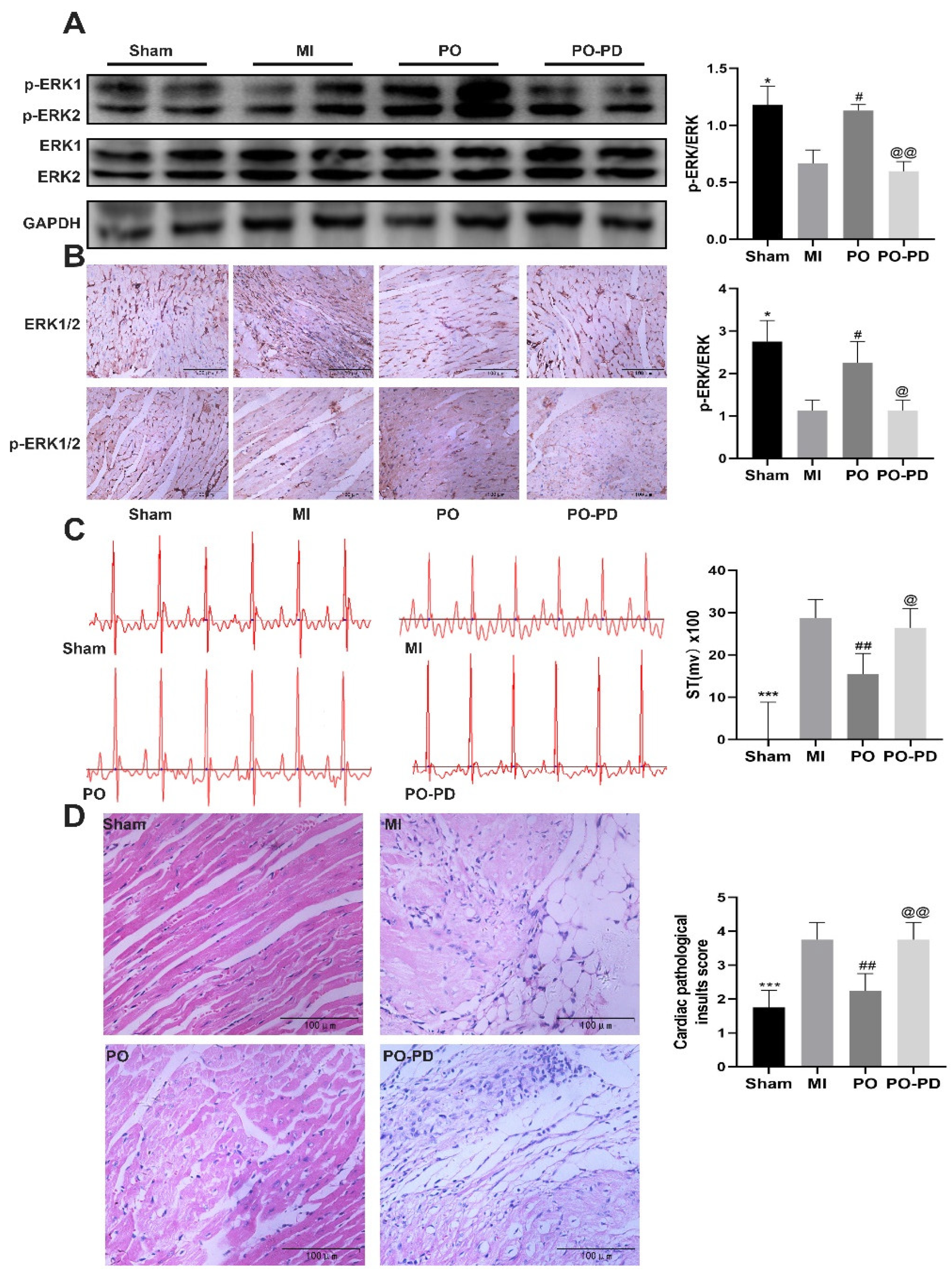 Molecules 28 03687 g006a