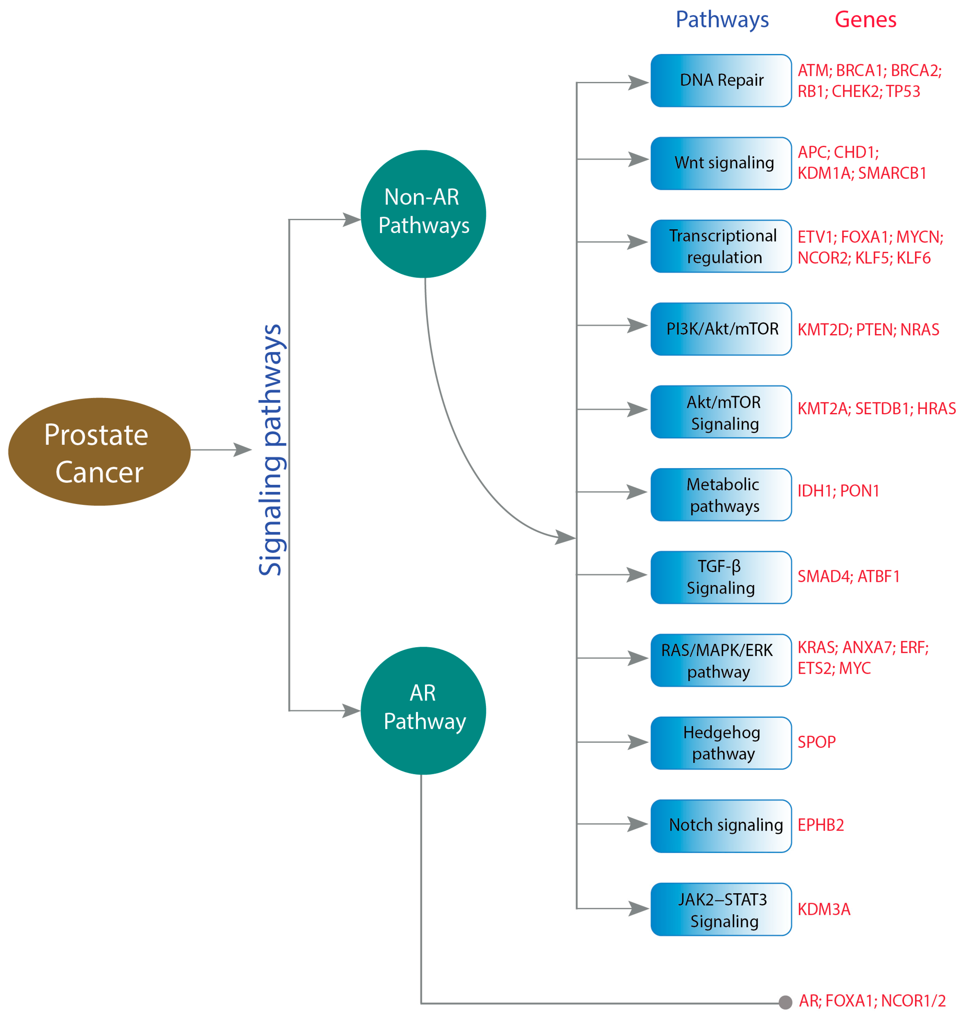 Molecules 28 03698 g004
