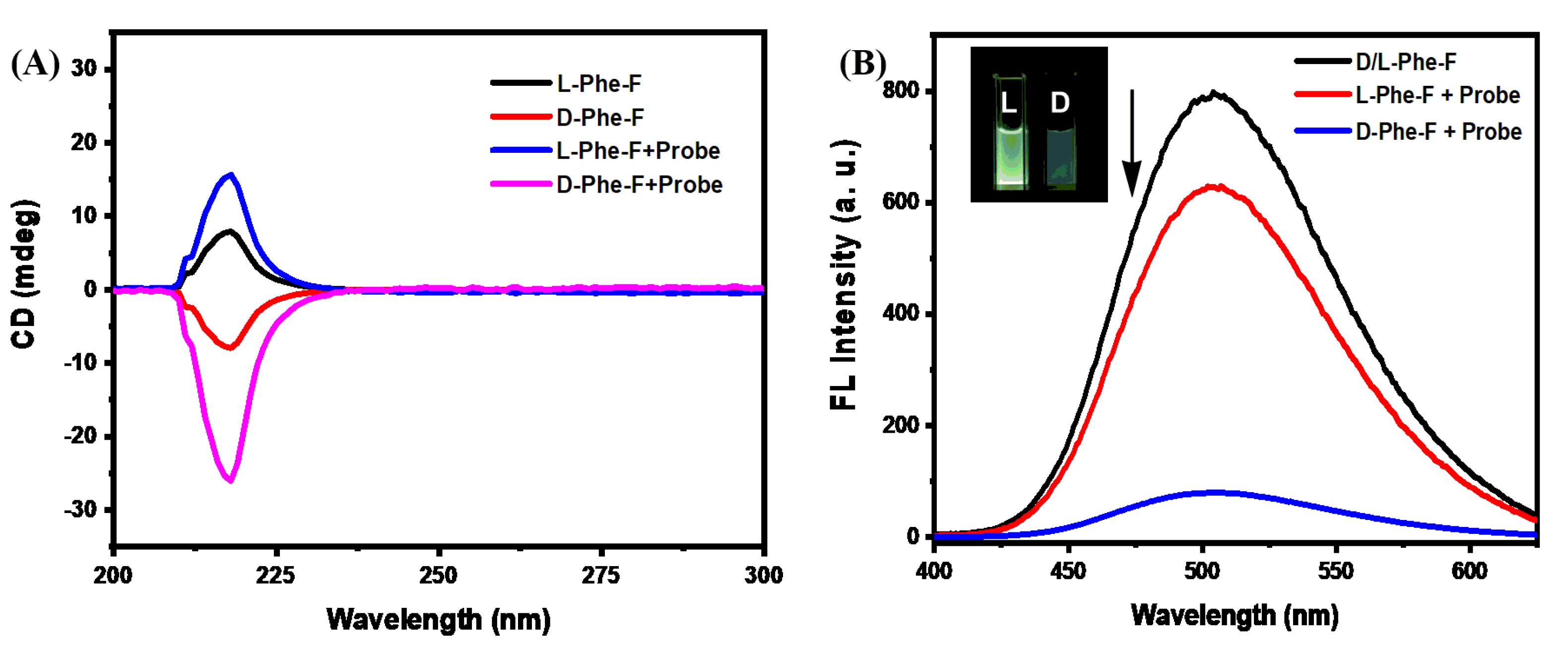 Molecules 28 03700 g001 Molecules 28 03700 g001